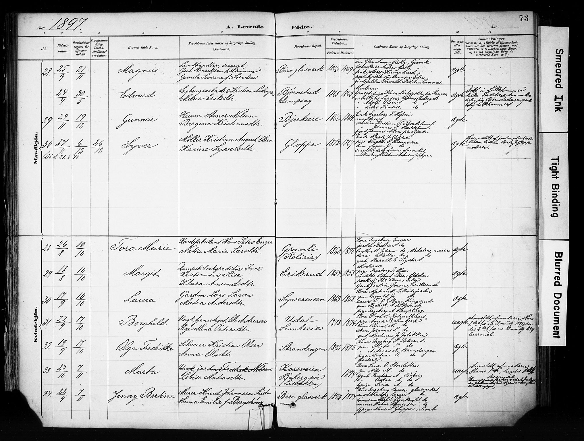 Biri prestekontor, SAH/PREST-096/H/Ha/Haa/L0009: Parish register (official) no. 9, 1887-1900, p. 73