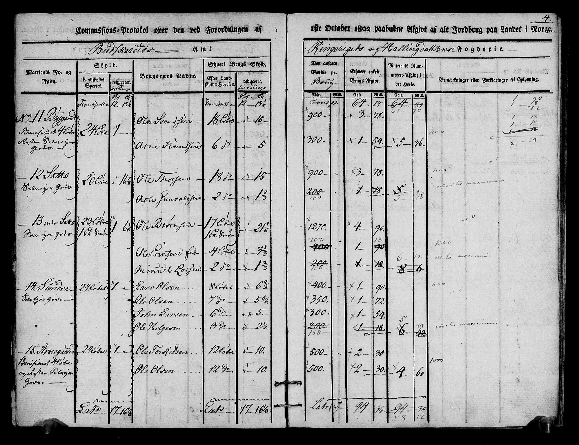 Rentekammeret inntil 1814, Realistisk ordnet avdeling, AV/RA-EA-4070/N/Ne/Nea/L0048: Ringerike og Hallingdal fogderi. Kommisjonsprotokoll for Ål prestegjeld, 1803, p. 5