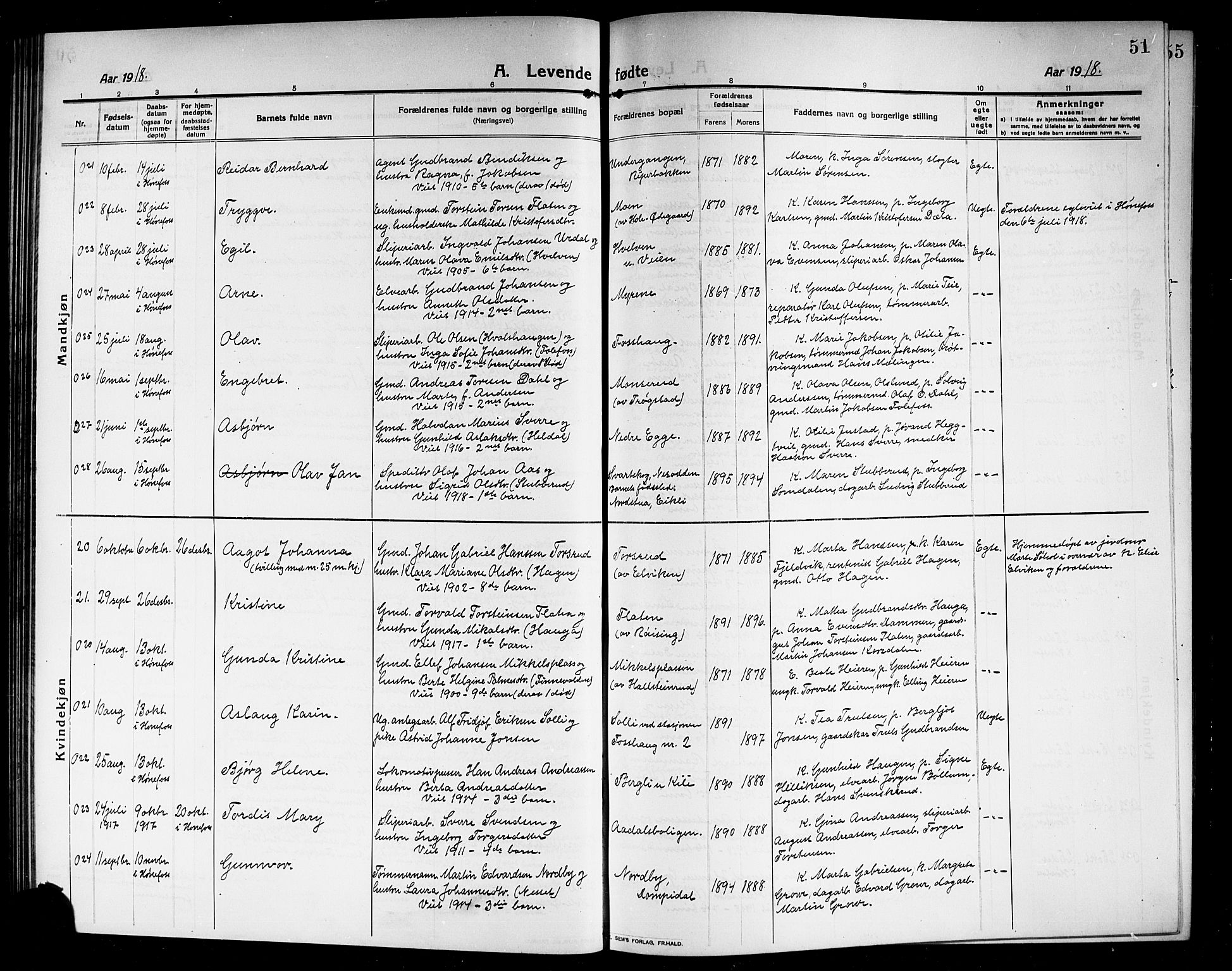 Norderhov kirkebøker, AV/SAKO-A-237/G/Ga/L0009: Parish register (copy) no. I 9, 1913-1920, p. 51