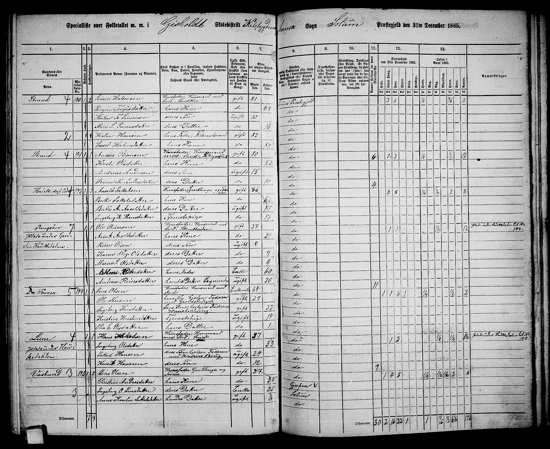 RA, 1865 census for Solum, 1865, p. 149