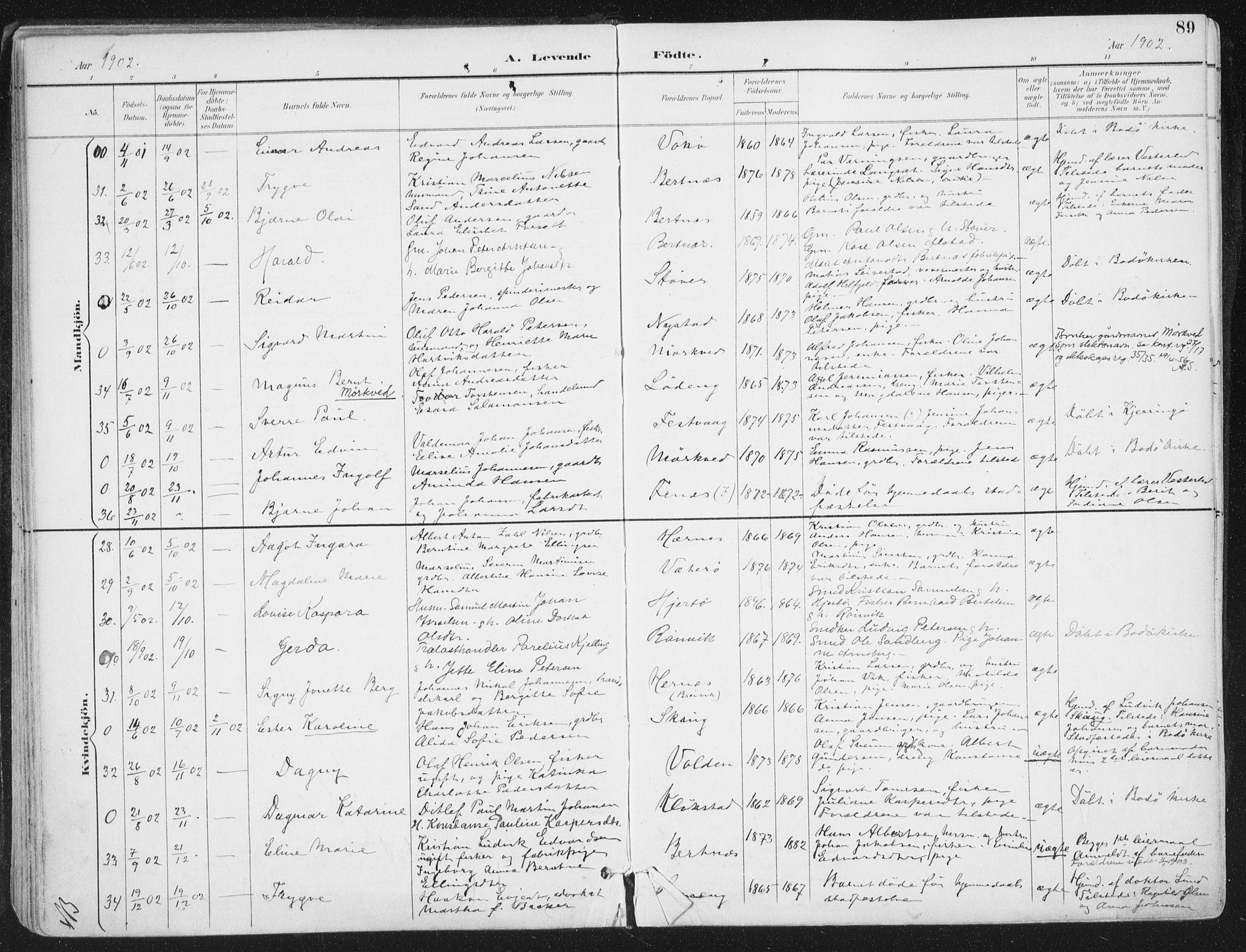 Ministerialprotokoller, klokkerbøker og fødselsregistre - Nordland, AV/SAT-A-1459/802/L0055: Parish register (official) no. 802A02, 1894-1915, p. 89