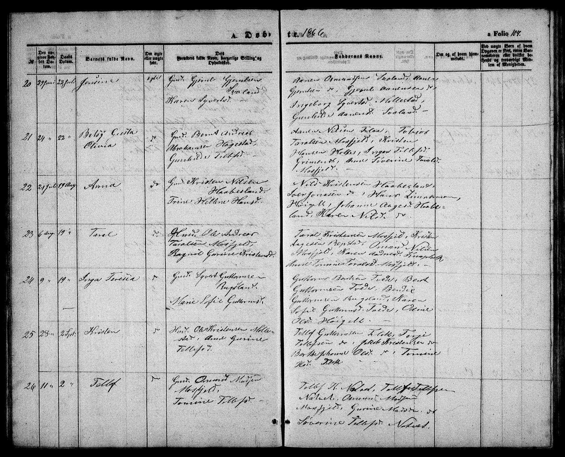 Birkenes sokneprestkontor, AV/SAK-1111-0004/F/Fb/L0002: Parish register (copy) no. B 2, 1849-1876, p. 107