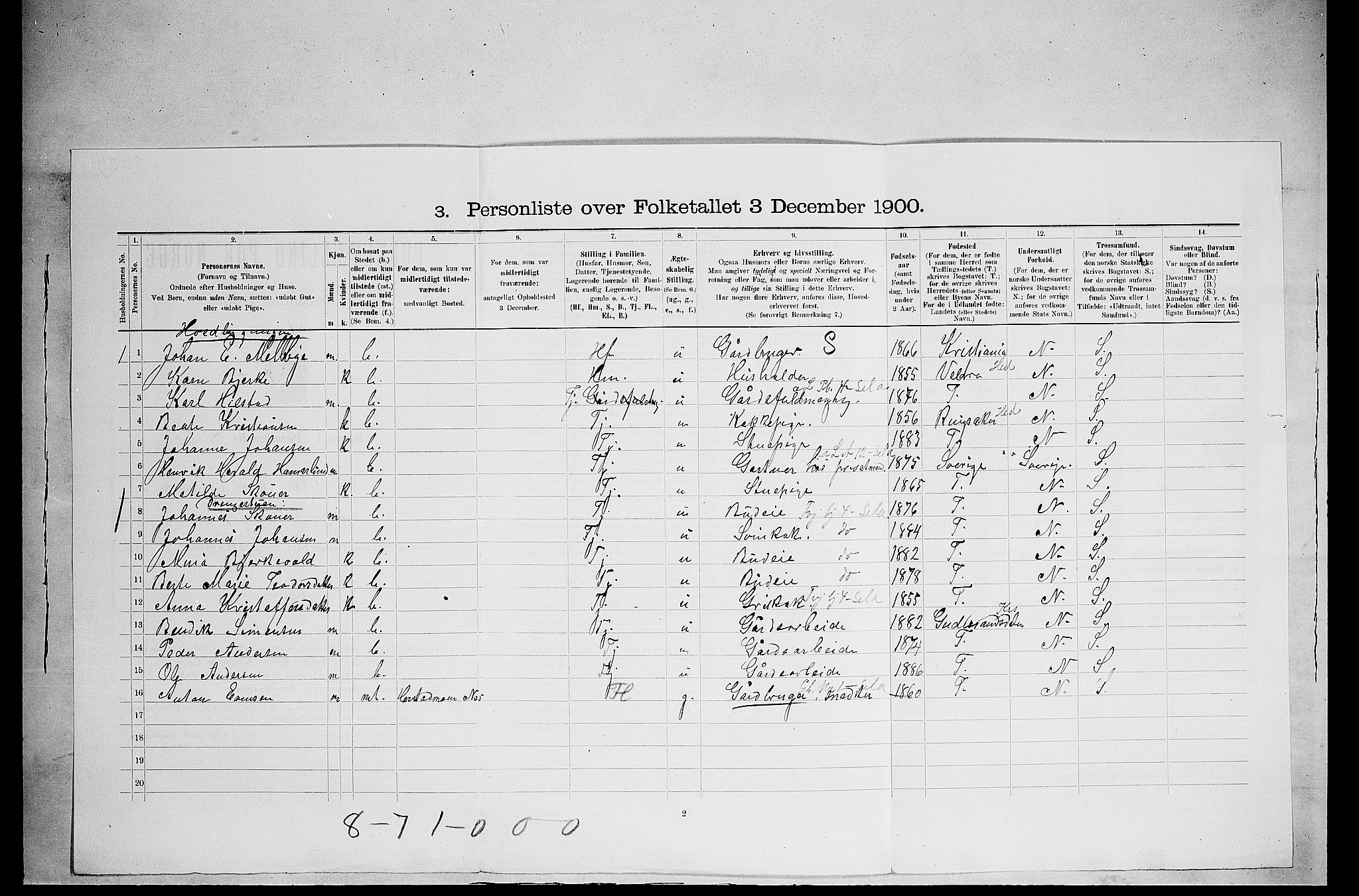 SAH, 1900 census for Nes, 1900, p. 489