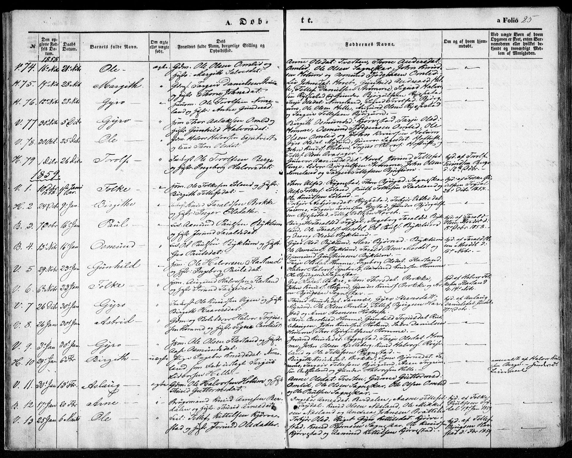 Valle sokneprestkontor, SAK/1111-0044/F/Fa/Fac/L0007: Parish register (official) no. A 7, 1854-1868, p. 25