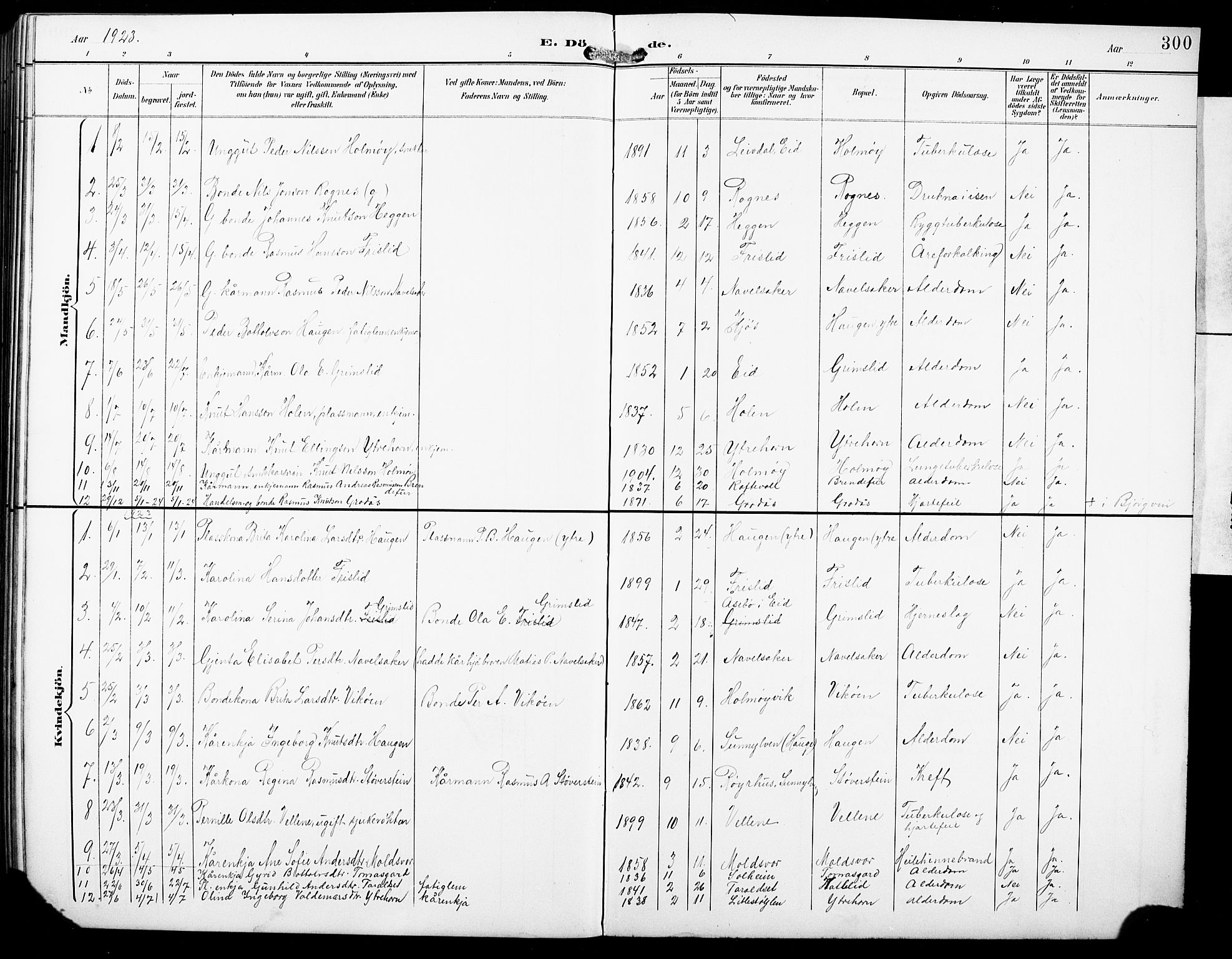 Hornindal sokneprestembete, AV/SAB-A-82401/H/Hab: Parish register (copy) no. A 2, 1894-1927, p. 300