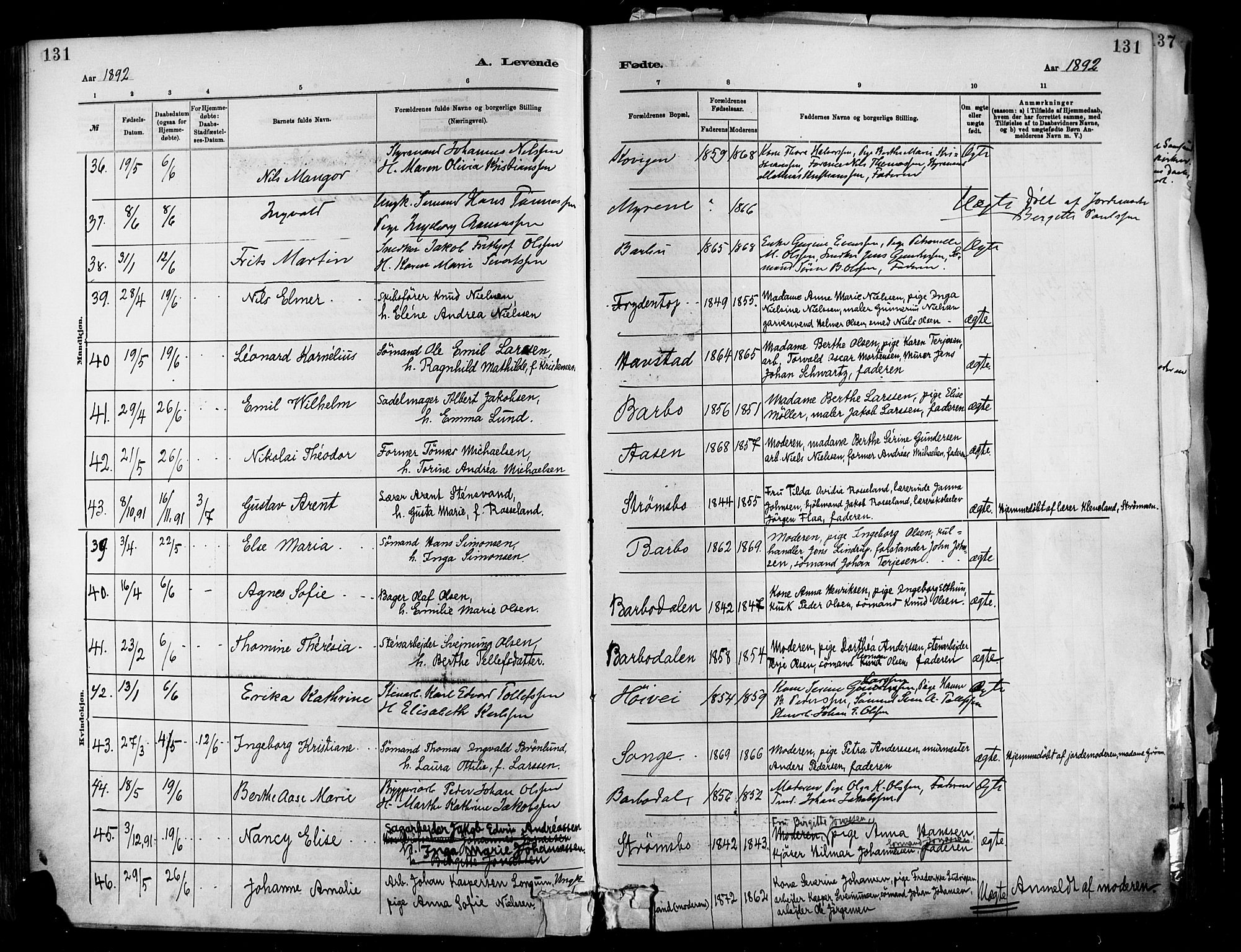 Barbu sokneprestkontor, AV/SAK-1111-0003/F/Fa/L0002: Parish register (official) no. A 2, 1883-1898, p. 131