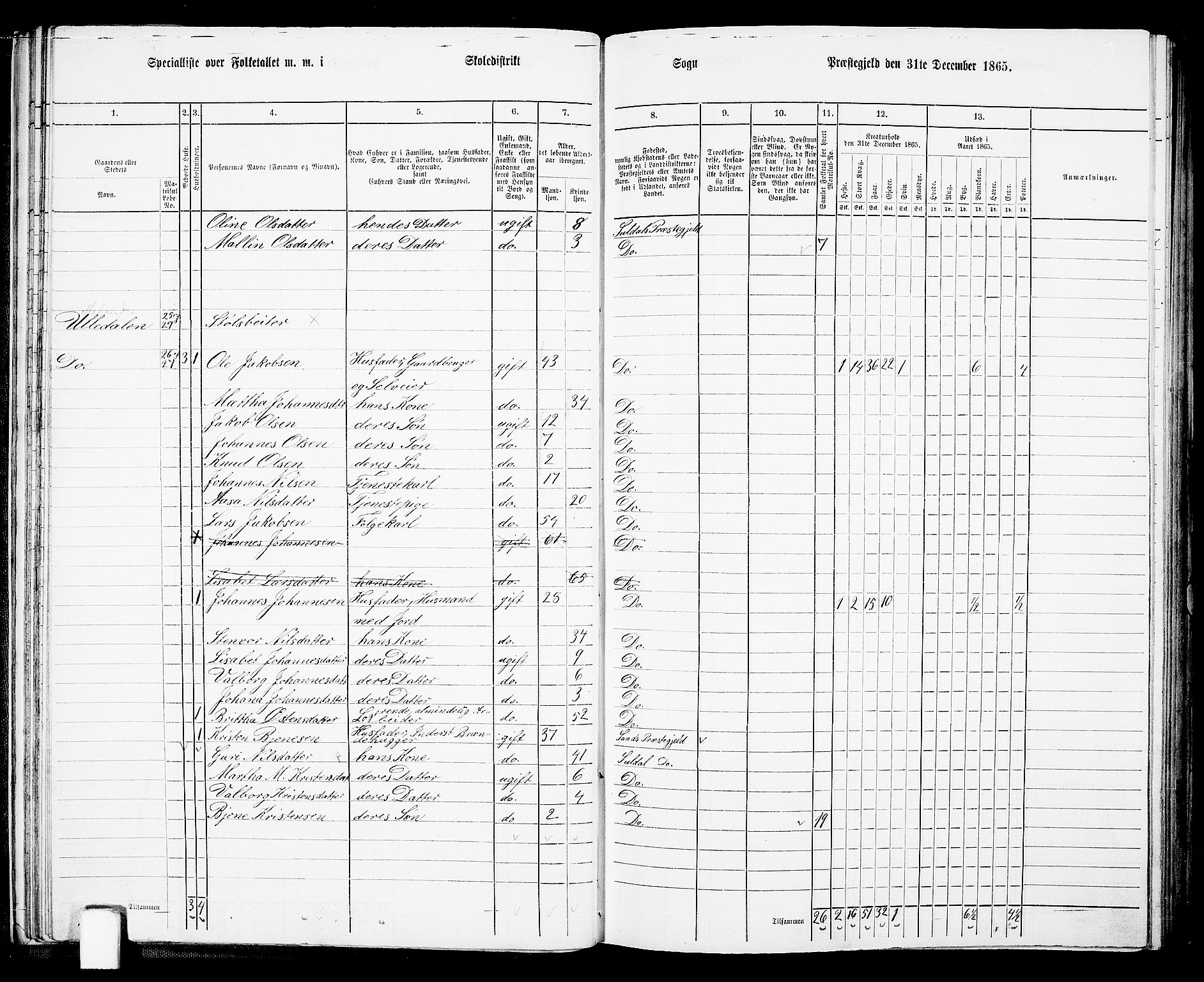 RA, 1865 census for Suldal, 1865, p. 33