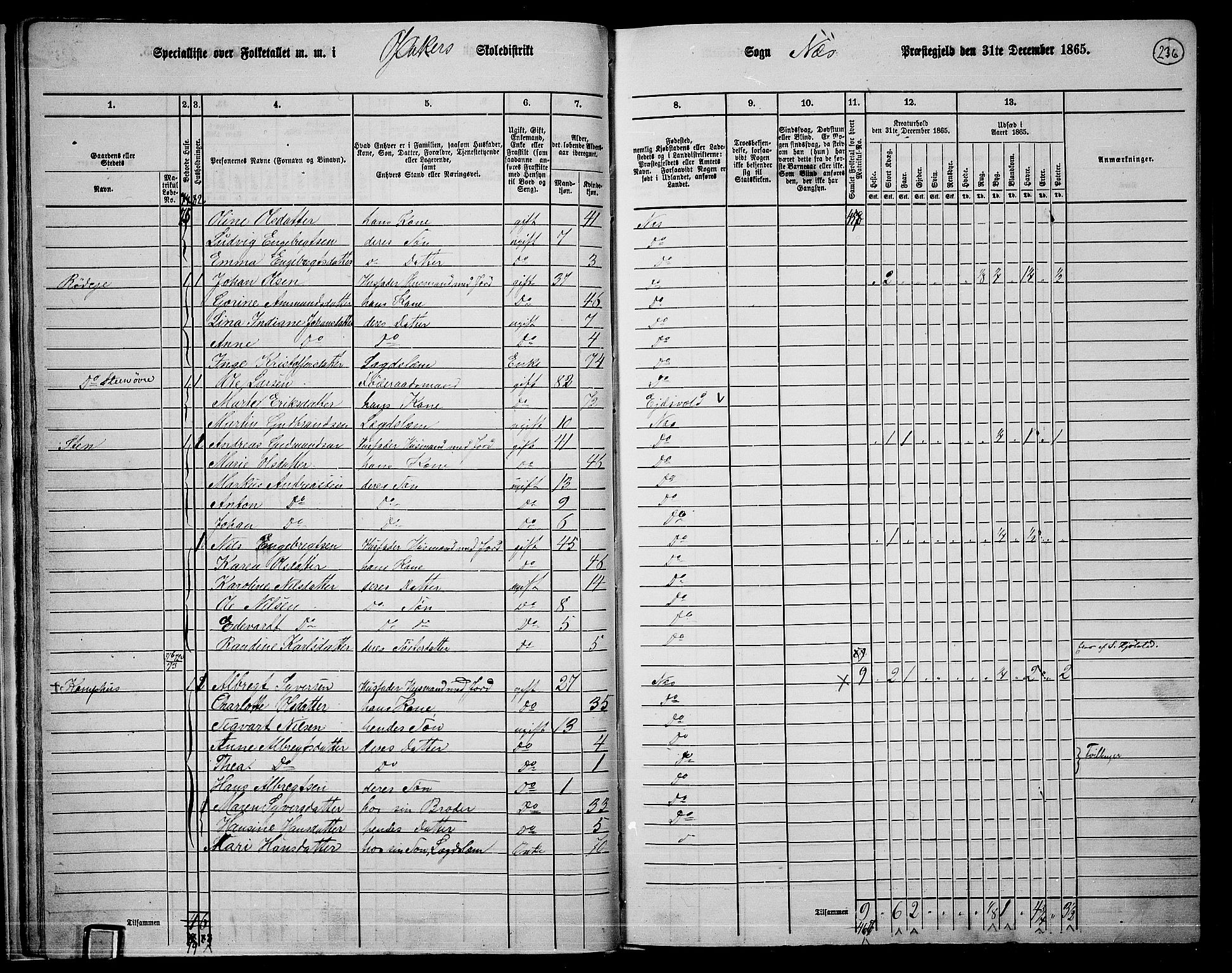 RA, 1865 census for Nes, 1865, p. 219