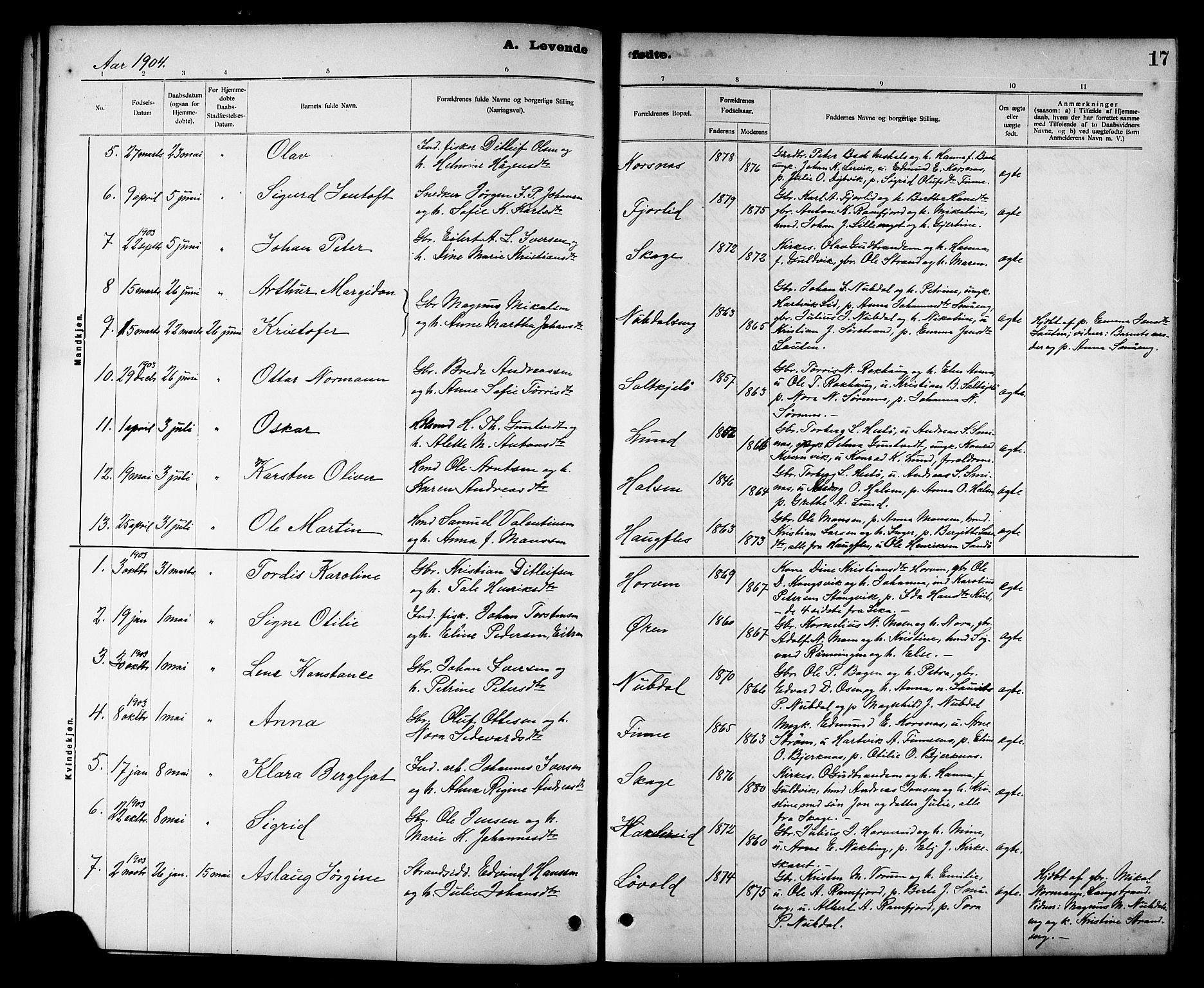 Ministerialprotokoller, klokkerbøker og fødselsregistre - Nord-Trøndelag, SAT/A-1458/780/L0652: Parish register (copy) no. 780C04, 1899-1911, p. 17