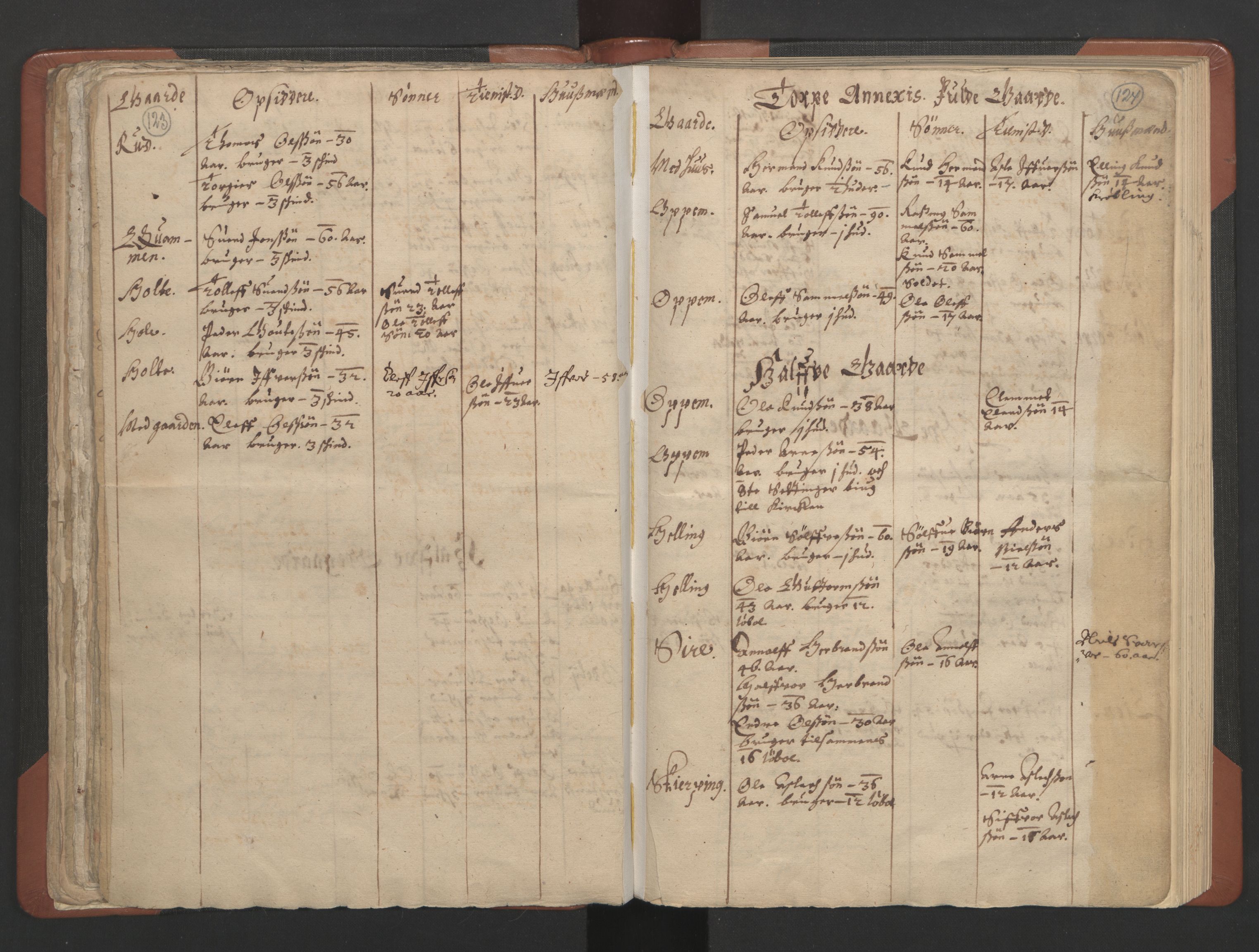 RA, Vicar's Census 1664-1666, no. 8: Valdres deanery, 1664-1666, p. 123-124
