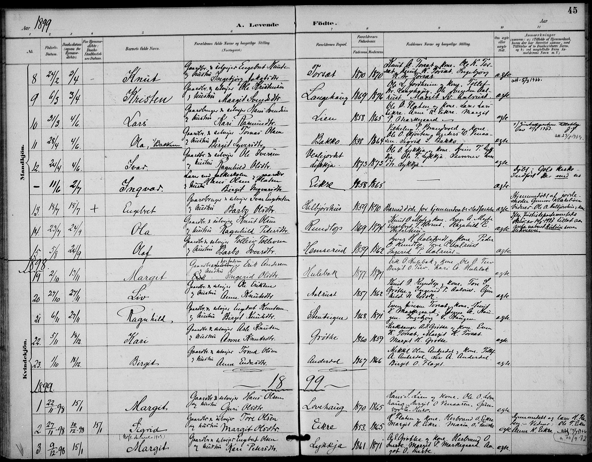 Gol kirkebøker, SAKO/A-226/F/Fb/L0001: Parish register (official) no. II 1, 1887-1900, p. 45