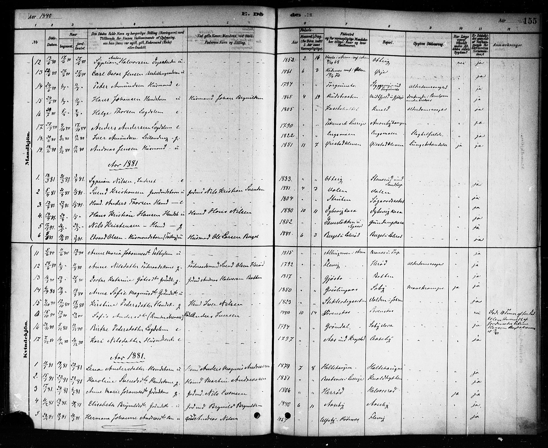 Aremark prestekontor Kirkebøker, SAO/A-10899/F/Fb/L0004: Parish register (official) no. II 4, 1878-1895, p. 155