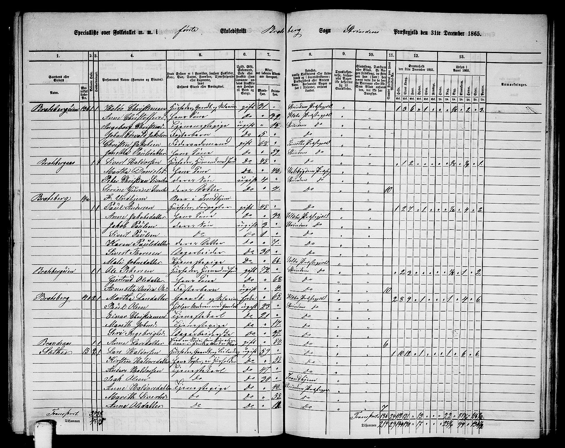 RA, 1865 census for Strinda, 1865, p. 167