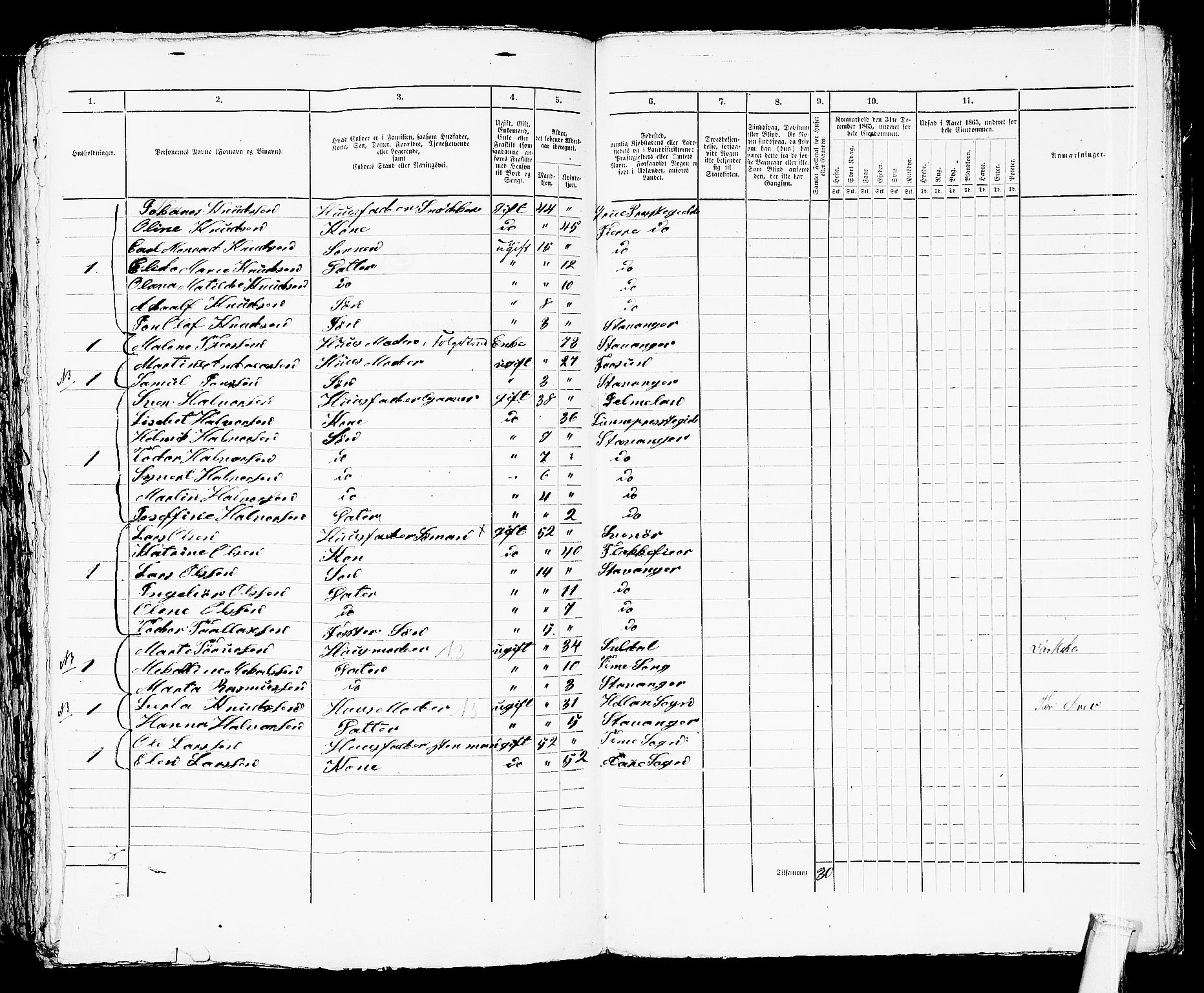 RA, 1865 census for Stavanger, 1865, p. 1980