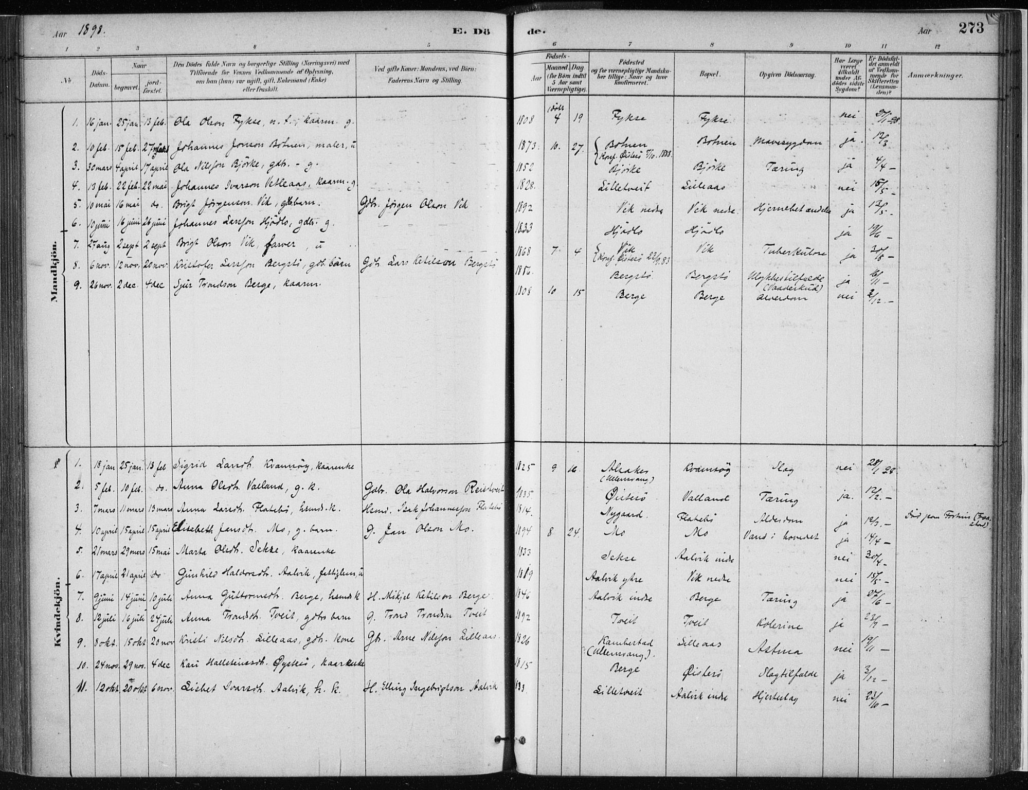Kvam sokneprestembete, SAB/A-76201/H/Haa: Parish register (official) no. C  1, 1880-1906, p. 273