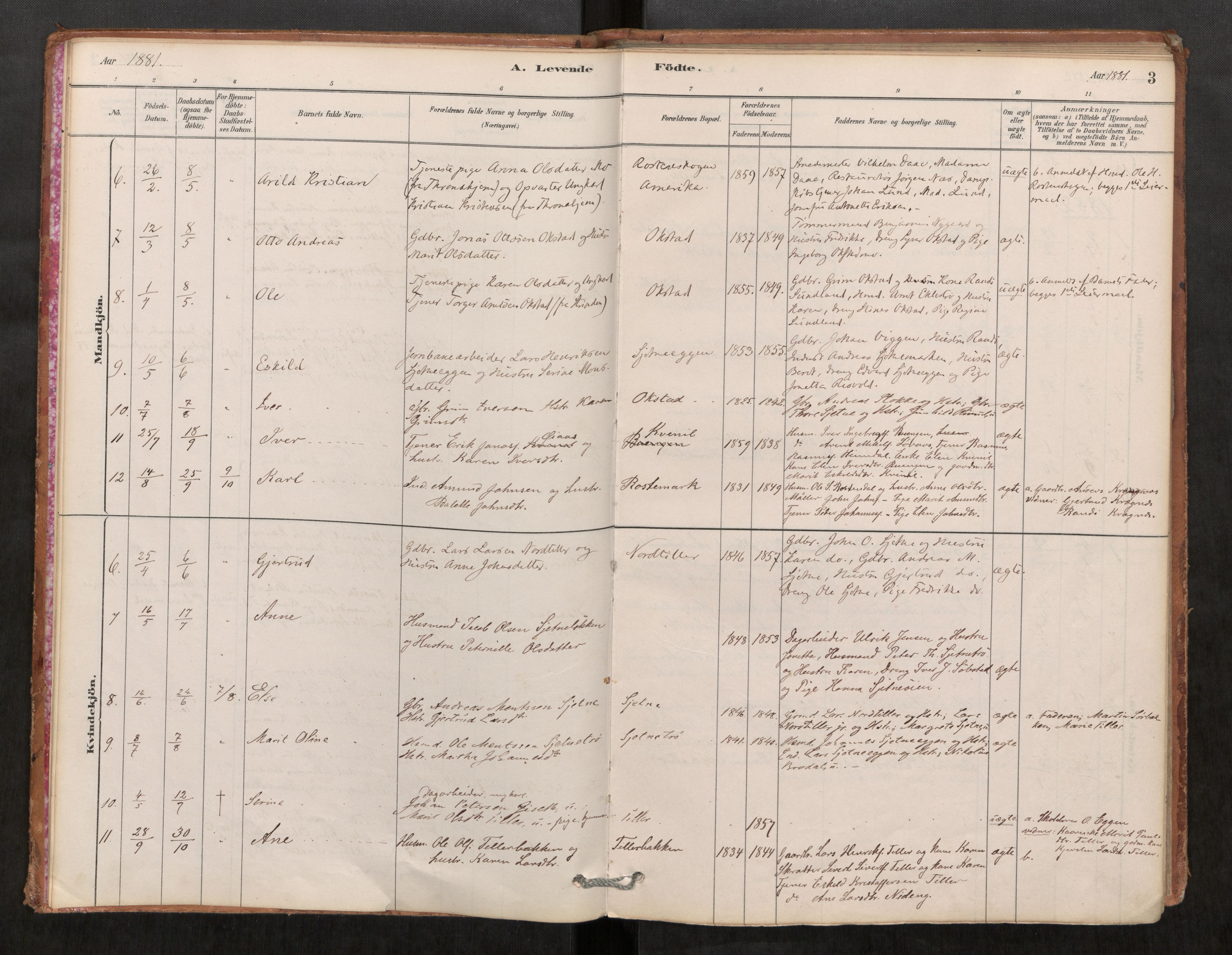 Klæbu sokneprestkontor, SAT/A-1112: Parish register (official) no. 1, 1880-1900, p. 3