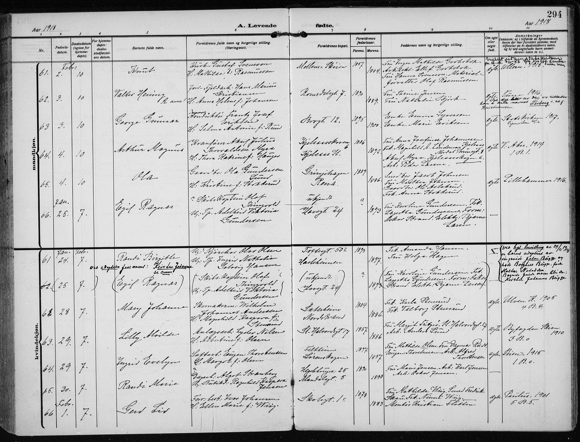 Rikshospitalet prestekontor Kirkebøker, AV/SAO-A-10309b/F/L0016: Parish register (official) no. 16, 1916-1918, p. 294