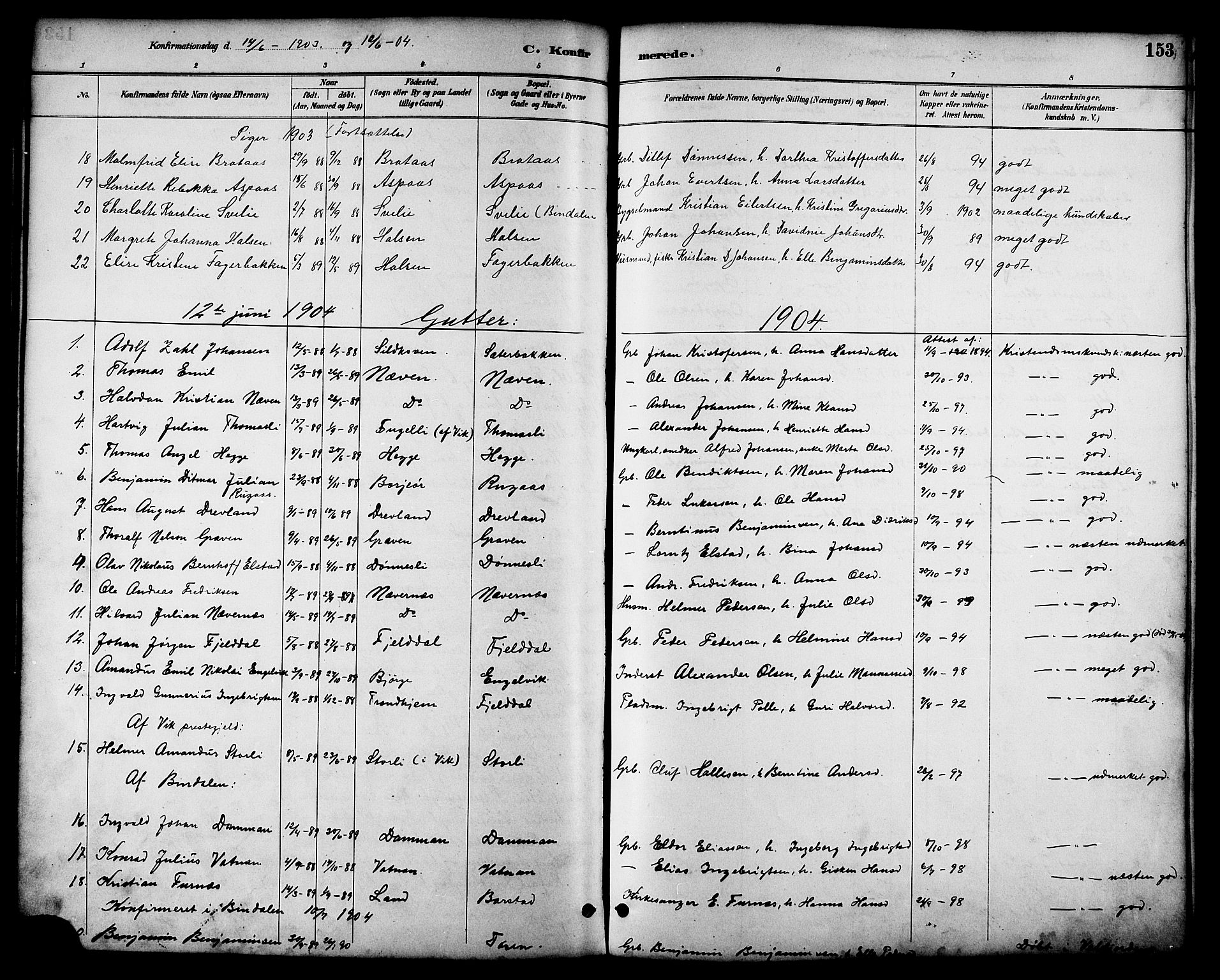Ministerialprotokoller, klokkerbøker og fødselsregistre - Nordland, SAT/A-1459/814/L0230: Parish register (copy) no. 814C03, 1884-1911, p. 153
