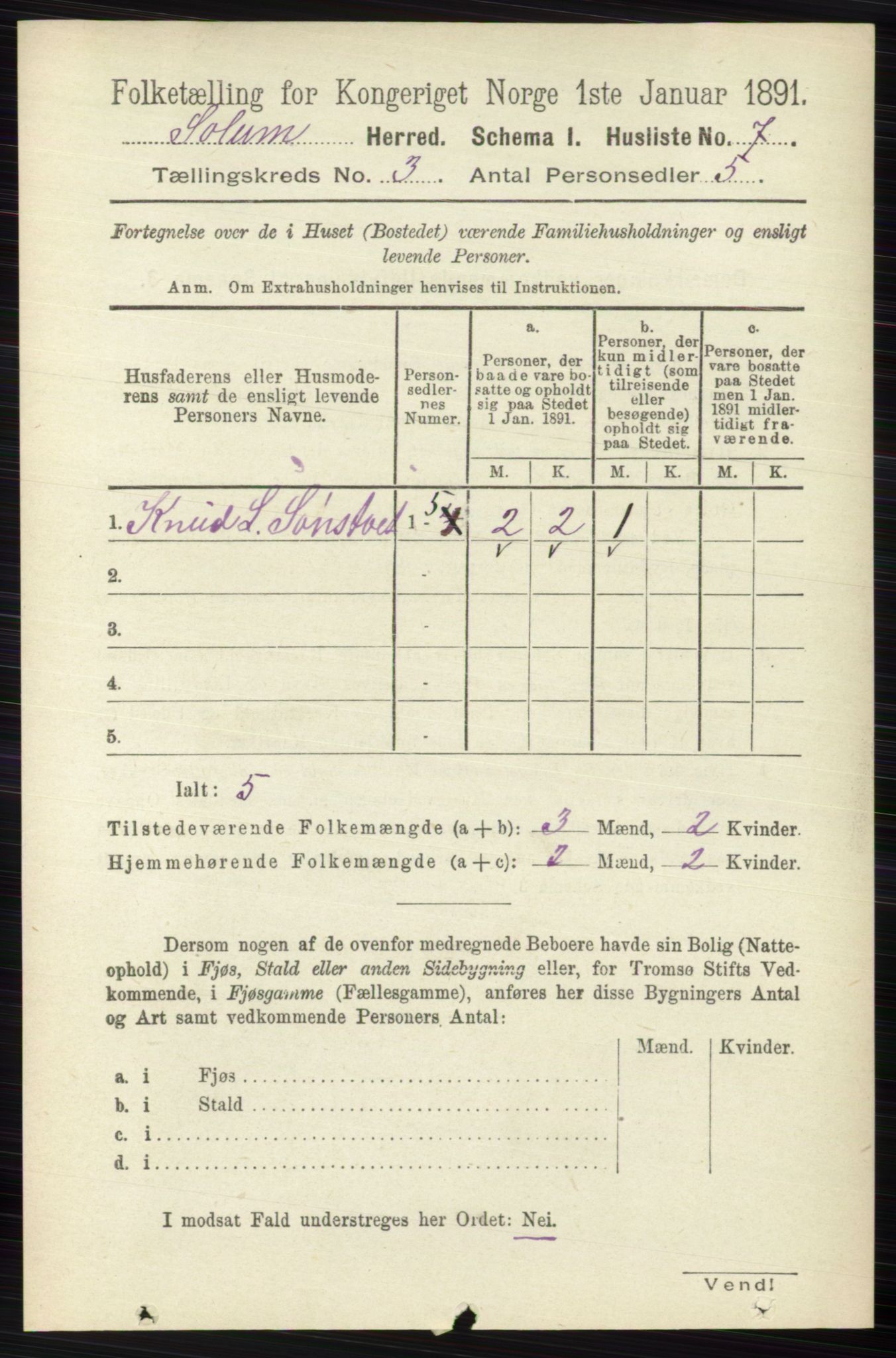 RA, 1891 census for 0818 Solum, 1891, p. 308