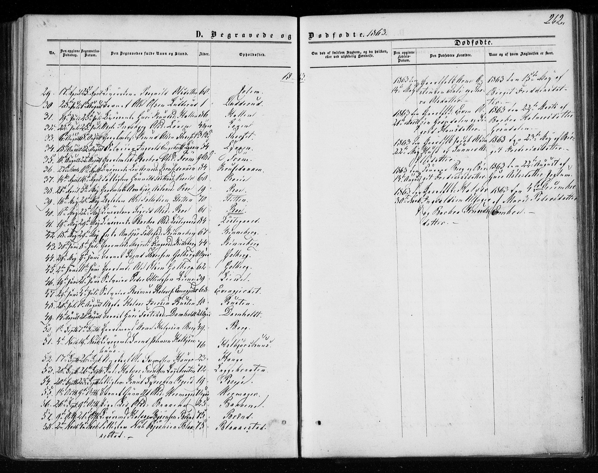 Gol kirkebøker, AV/SAKO-A-226/F/Fa/L0003: Parish register (official) no. I 3, 1863-1875, p. 262