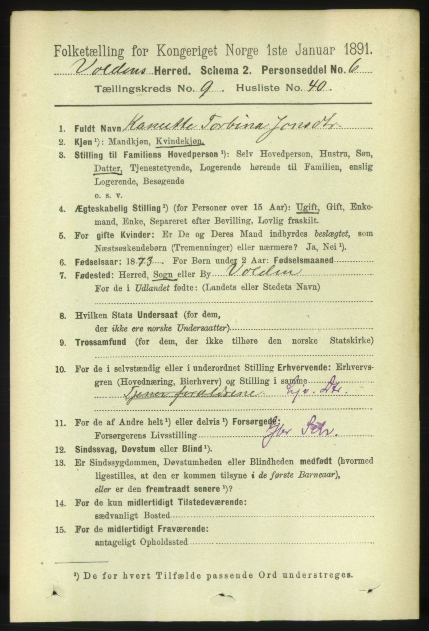 RA, 1891 census for 1519 Volda, 1891, p. 4508