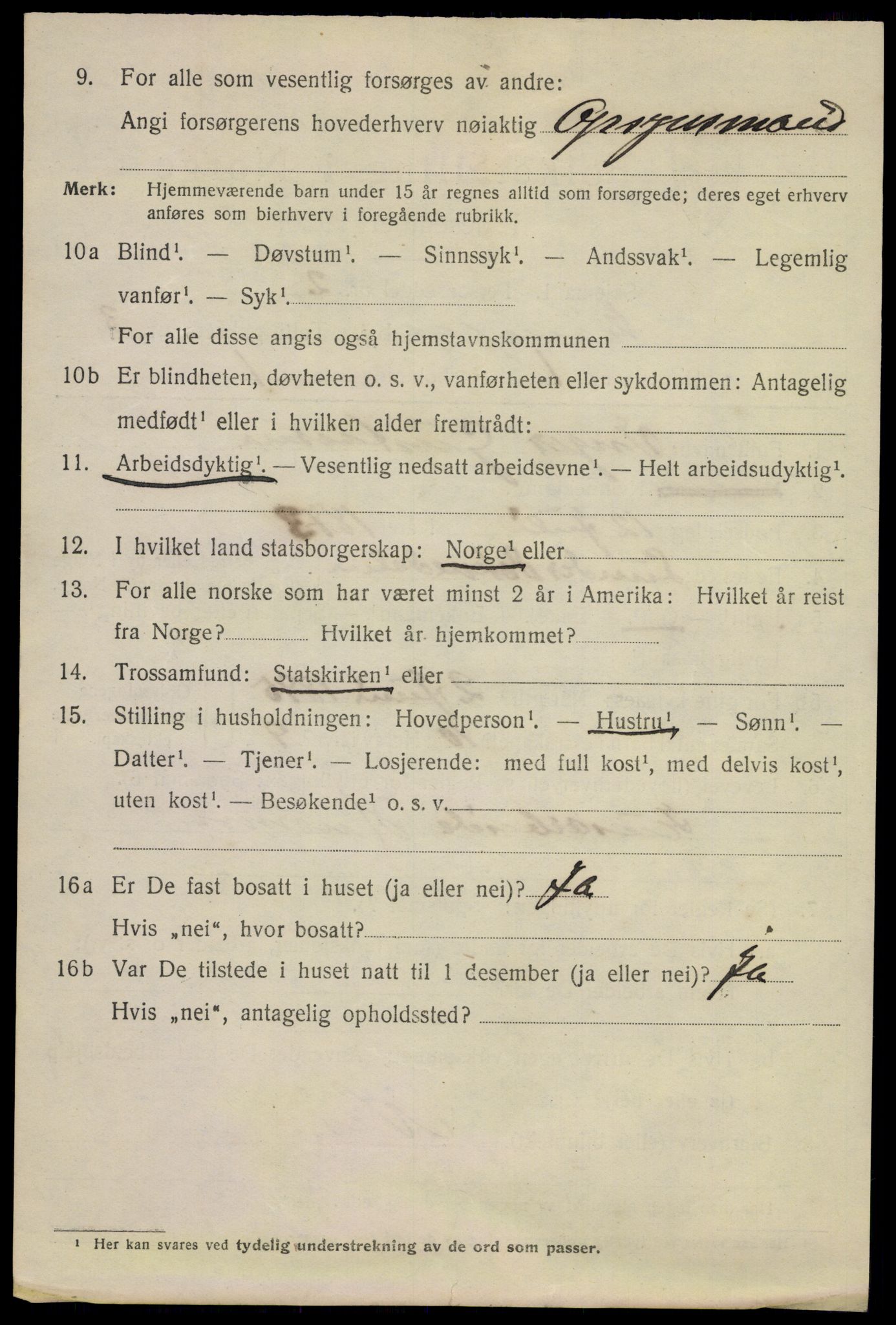 SAKO, 1920 census for Hønefoss, 1920, p. 5185