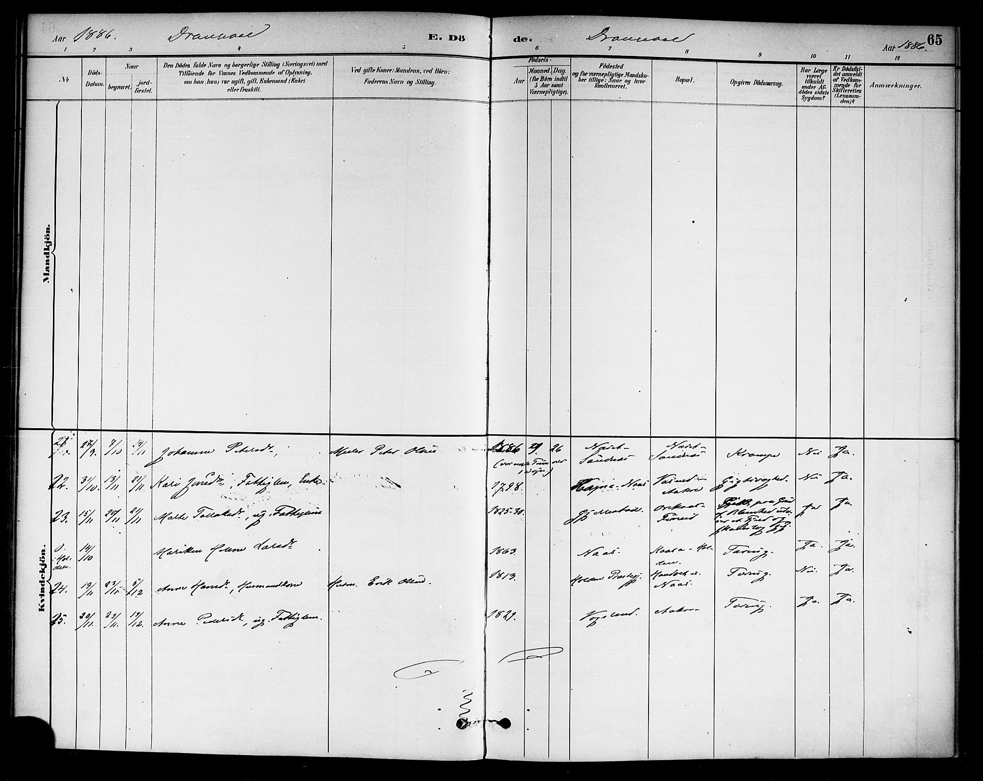 Drangedal kirkebøker, AV/SAKO-A-258/F/Fa/L0011: Parish register (official) no. 11 /1, 1885-1894, p. 65