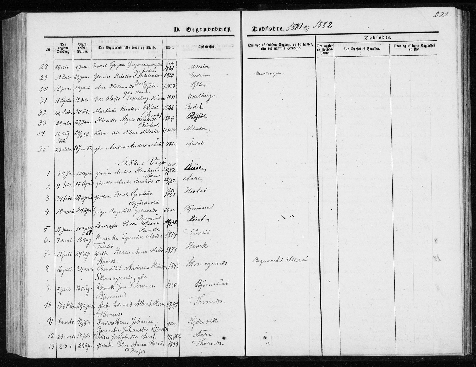 Ministerialprotokoller, klokkerbøker og fødselsregistre - Møre og Romsdal, SAT/A-1454/565/L0754: Parish register (copy) no. 565C03, 1870-1896, p. 272