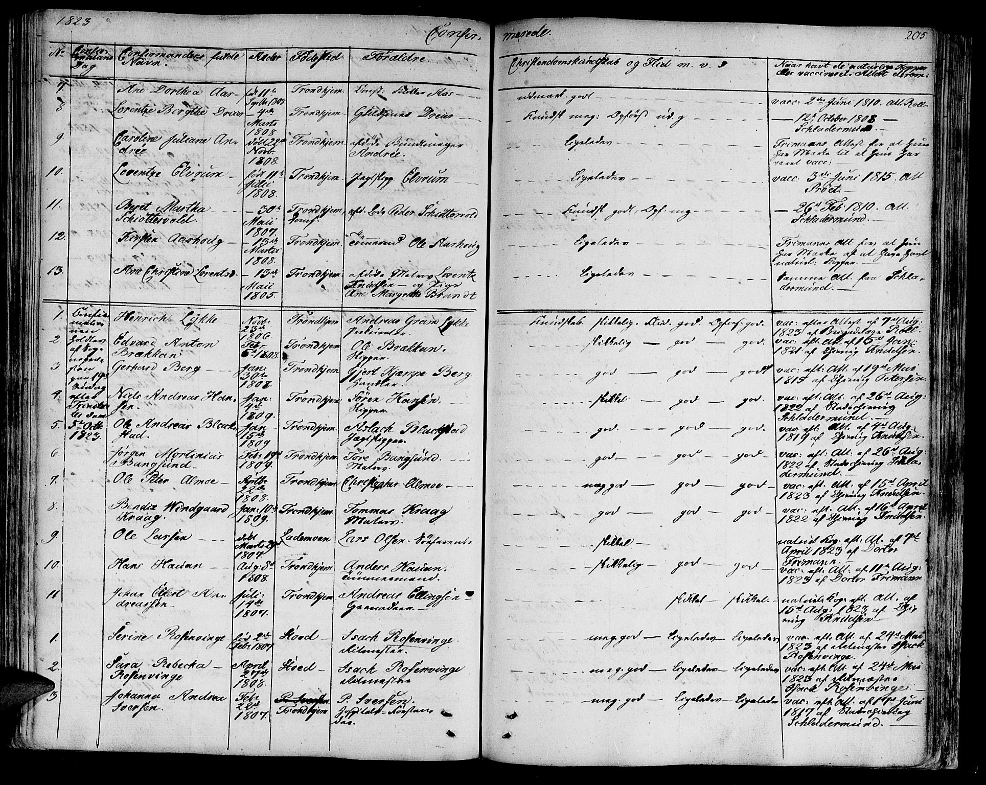 Ministerialprotokoller, klokkerbøker og fødselsregistre - Sør-Trøndelag, SAT/A-1456/602/L0108: Parish register (official) no. 602A06, 1821-1839, p. 205