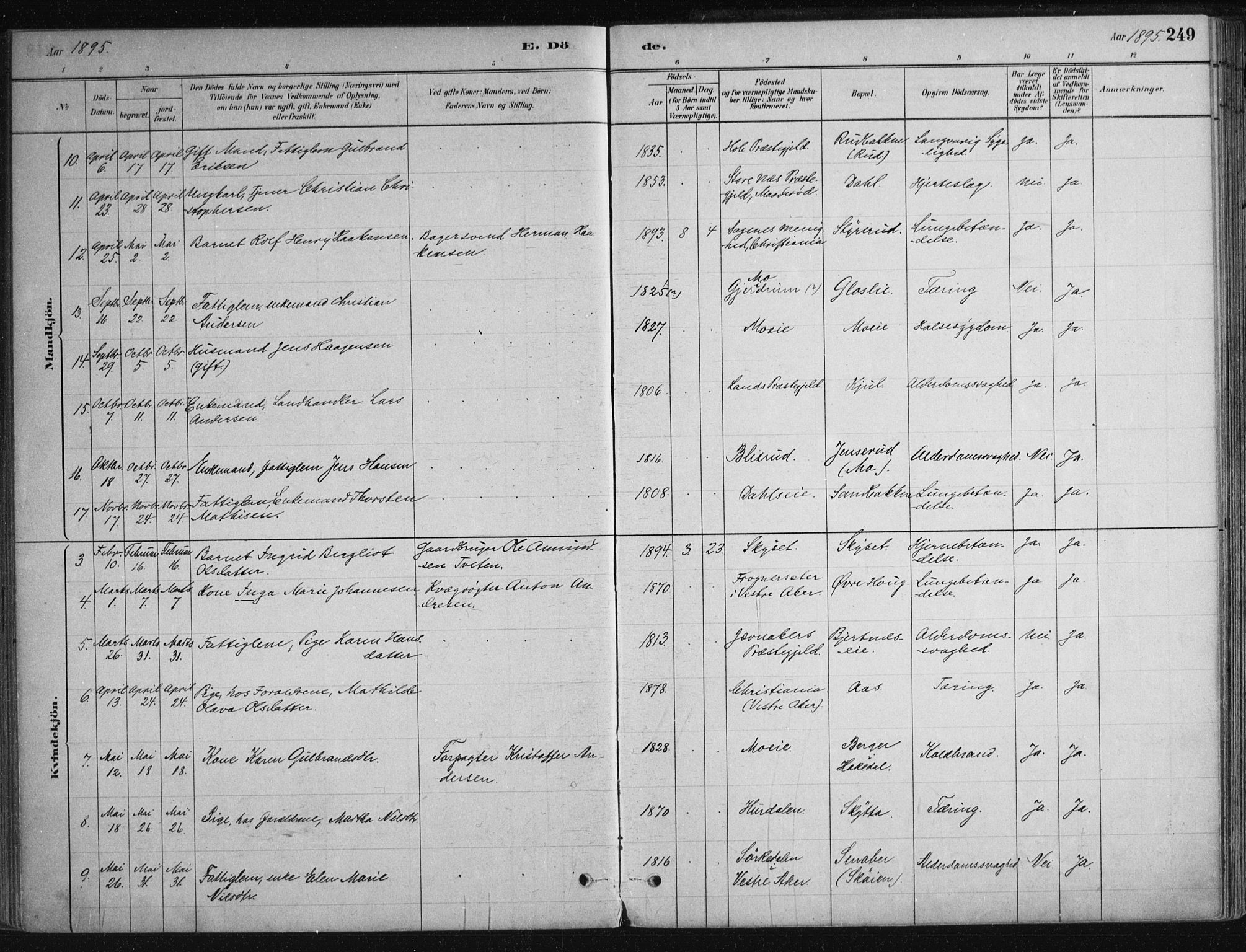 Nittedal prestekontor Kirkebøker, SAO/A-10365a/F/Fa/L0007: Parish register (official) no. I 7, 1879-1901, p. 249