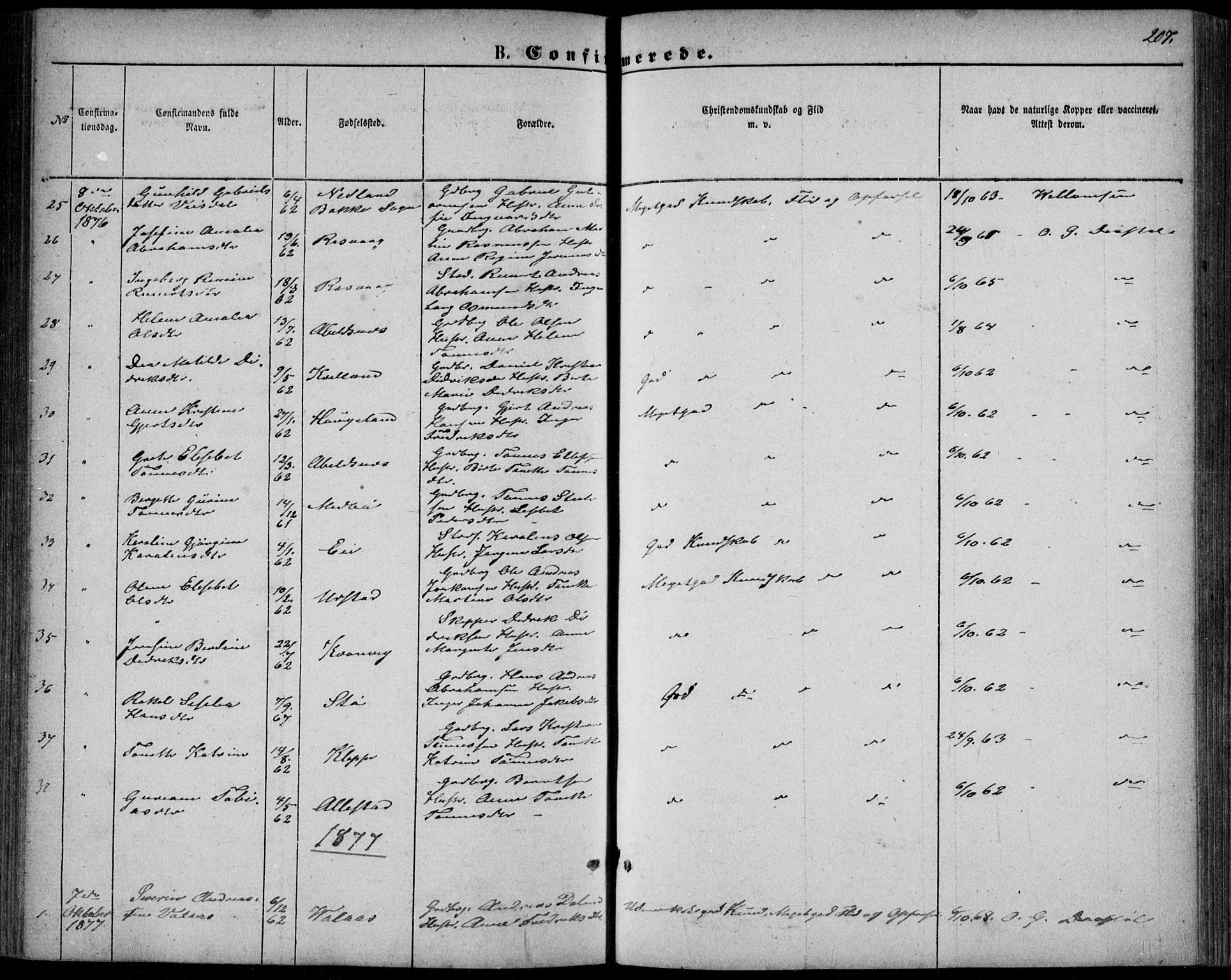 Flekkefjord sokneprestkontor, AV/SAK-1111-0012/F/Fb/Fbb/L0003: Parish register (copy) no. B 3, 1867-1889, p. 207