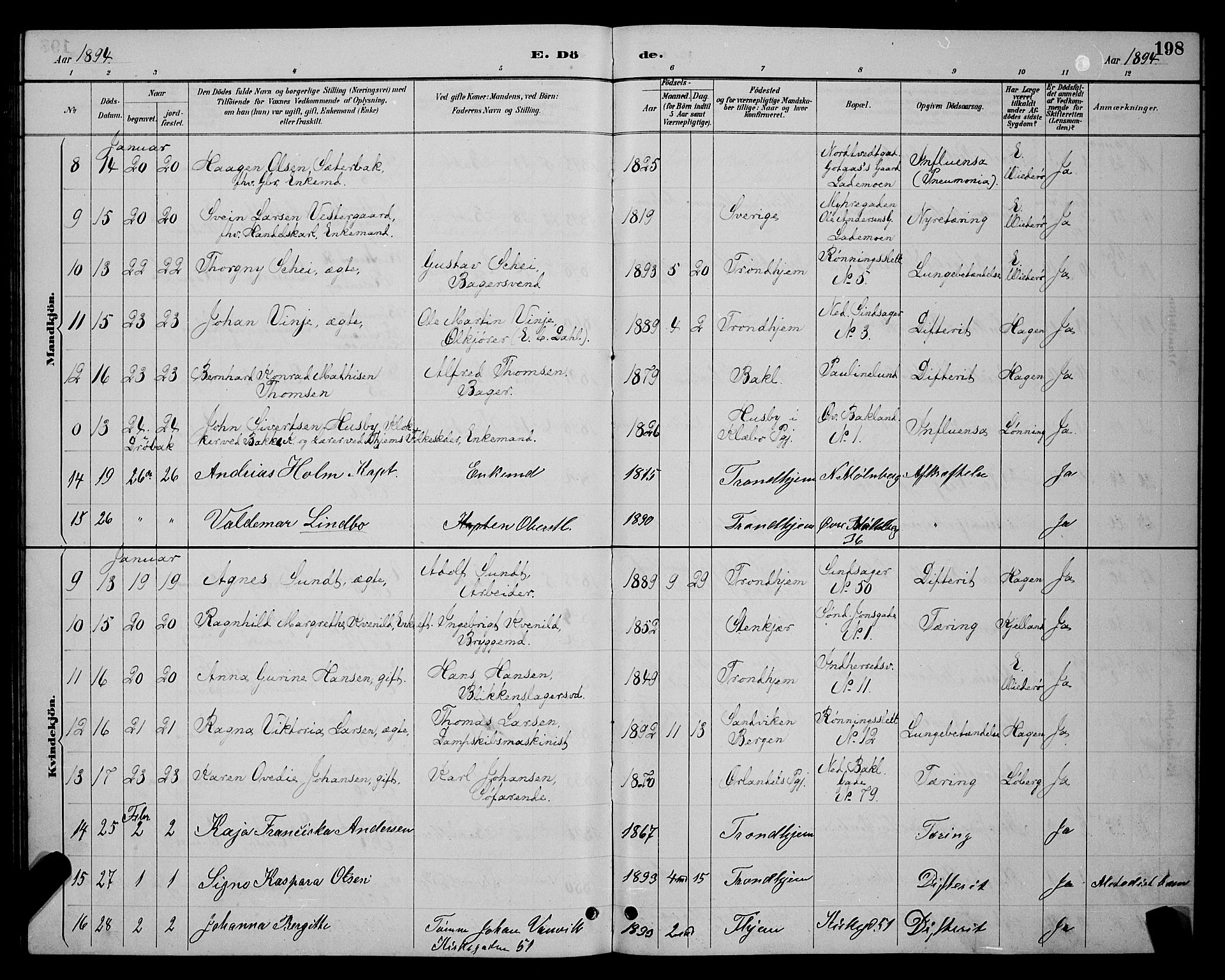 Ministerialprotokoller, klokkerbøker og fødselsregistre - Sør-Trøndelag, SAT/A-1456/604/L0223: Parish register (copy) no. 604C06, 1886-1897, p. 198