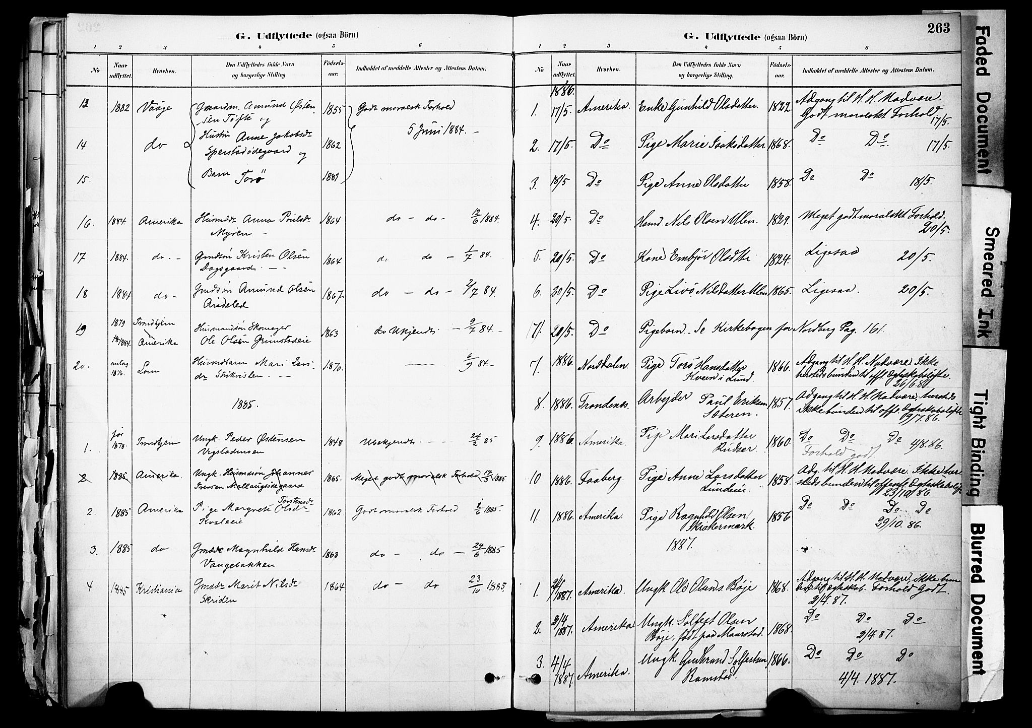 Skjåk prestekontor, SAH/PREST-072/H/Ha/Haa/L0003: Parish register (official) no. 3, 1880-1907, p. 263