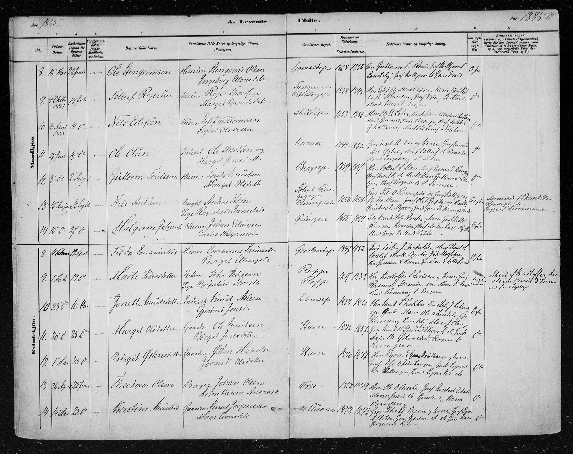Nes kirkebøker, SAKO/A-236/F/Fa/L0012: Parish register (official) no. 12, 1881-1917, p. 19