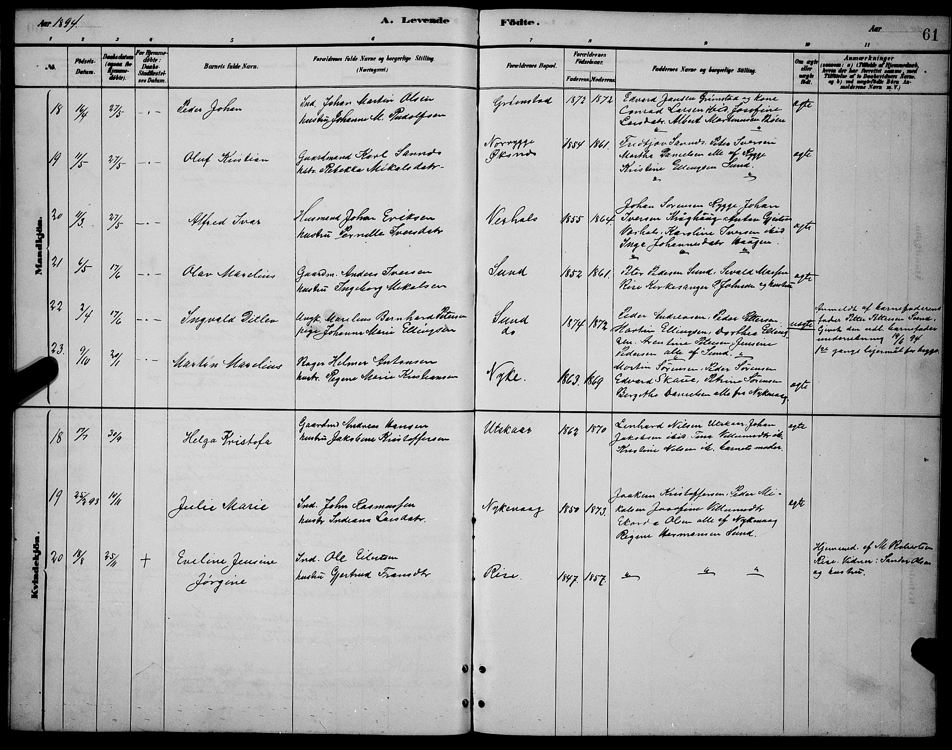 Ministerialprotokoller, klokkerbøker og fødselsregistre - Nordland, AV/SAT-A-1459/892/L1325: Parish register (copy) no. 892C02, 1878-1896, p. 61
