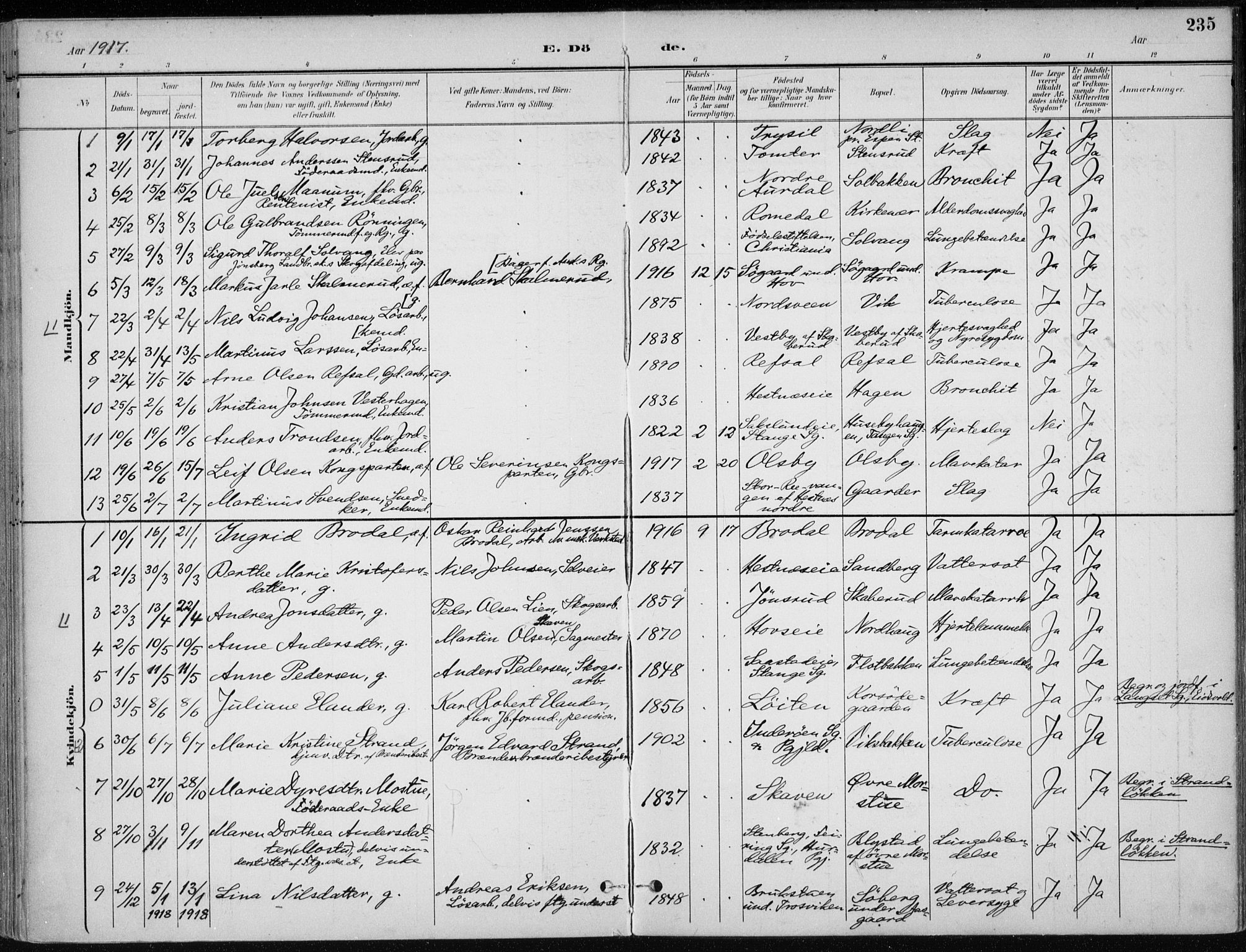 Stange prestekontor, SAH/PREST-002/K/L0023: Parish register (official) no. 23, 1897-1920, p. 235