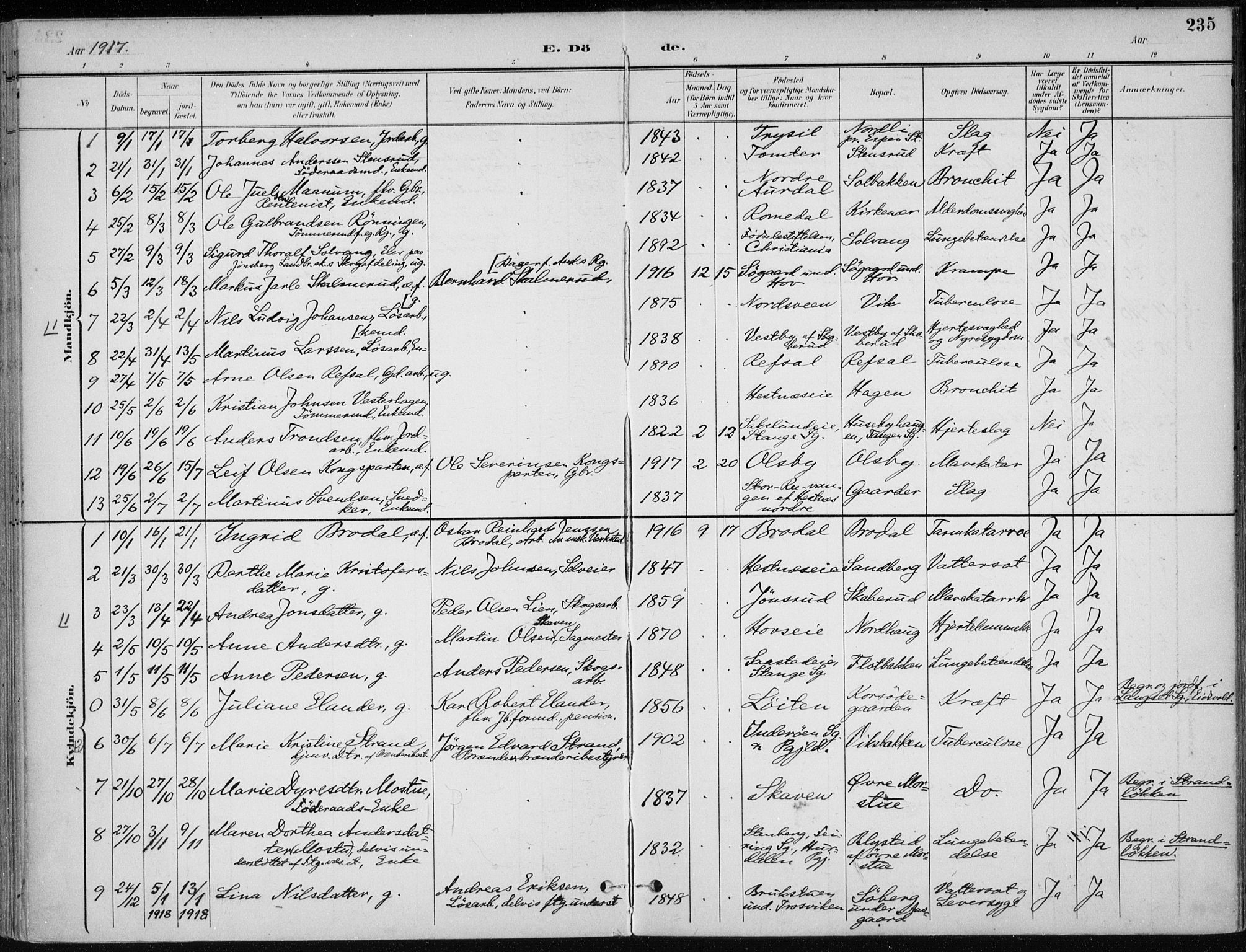 Stange prestekontor, AV/SAH-PREST-002/K/L0023: Parish register (official) no. 23, 1897-1920, p. 235