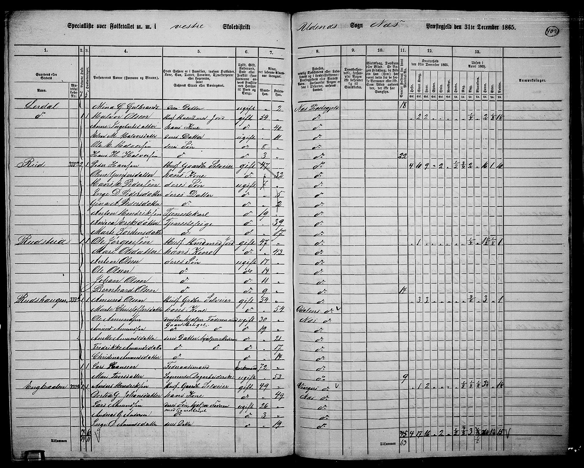 RA, 1865 census for Nes, 1865, p. 369