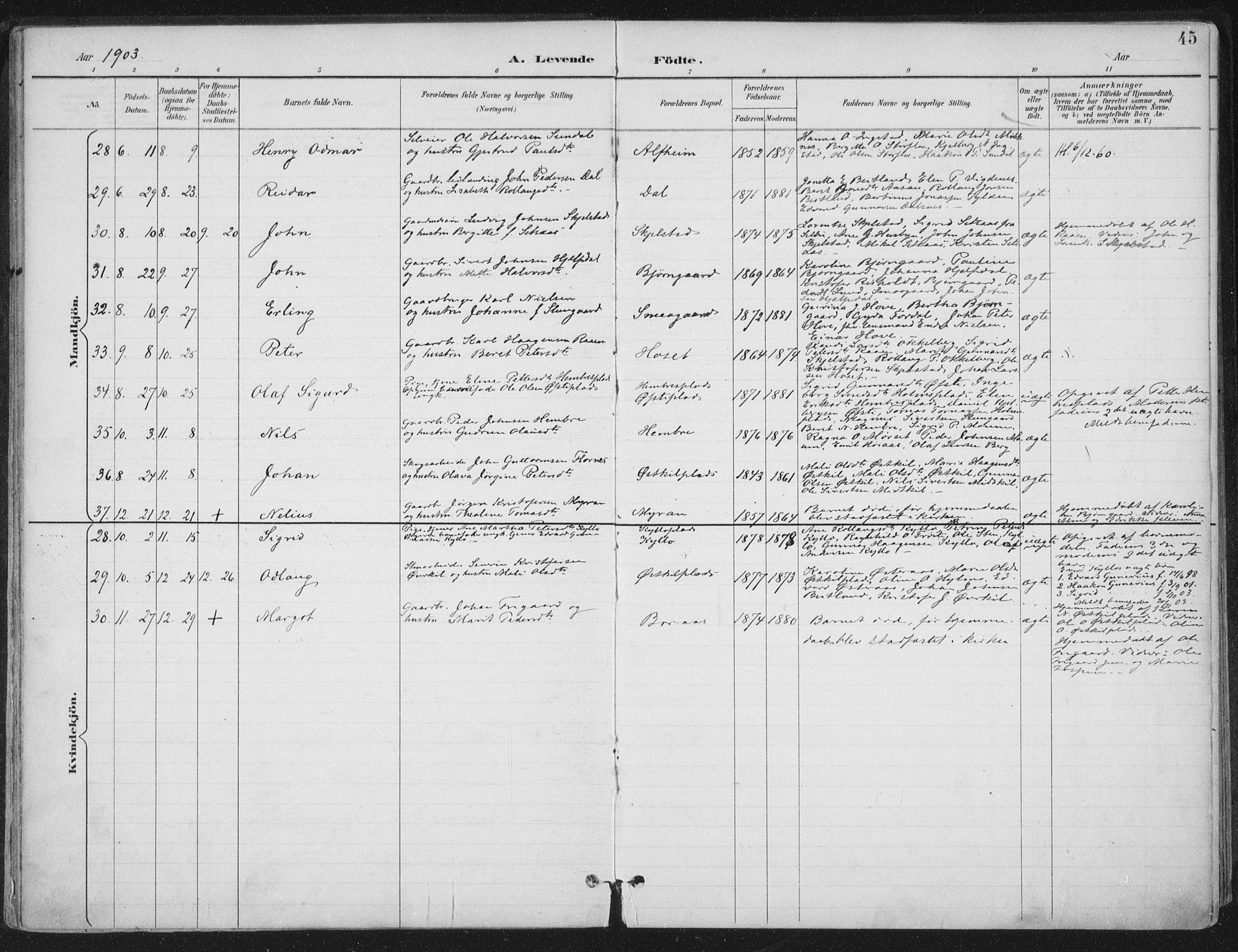 Ministerialprotokoller, klokkerbøker og fødselsregistre - Nord-Trøndelag, SAT/A-1458/703/L0031: Parish register (official) no. 703A04, 1893-1914, p. 45