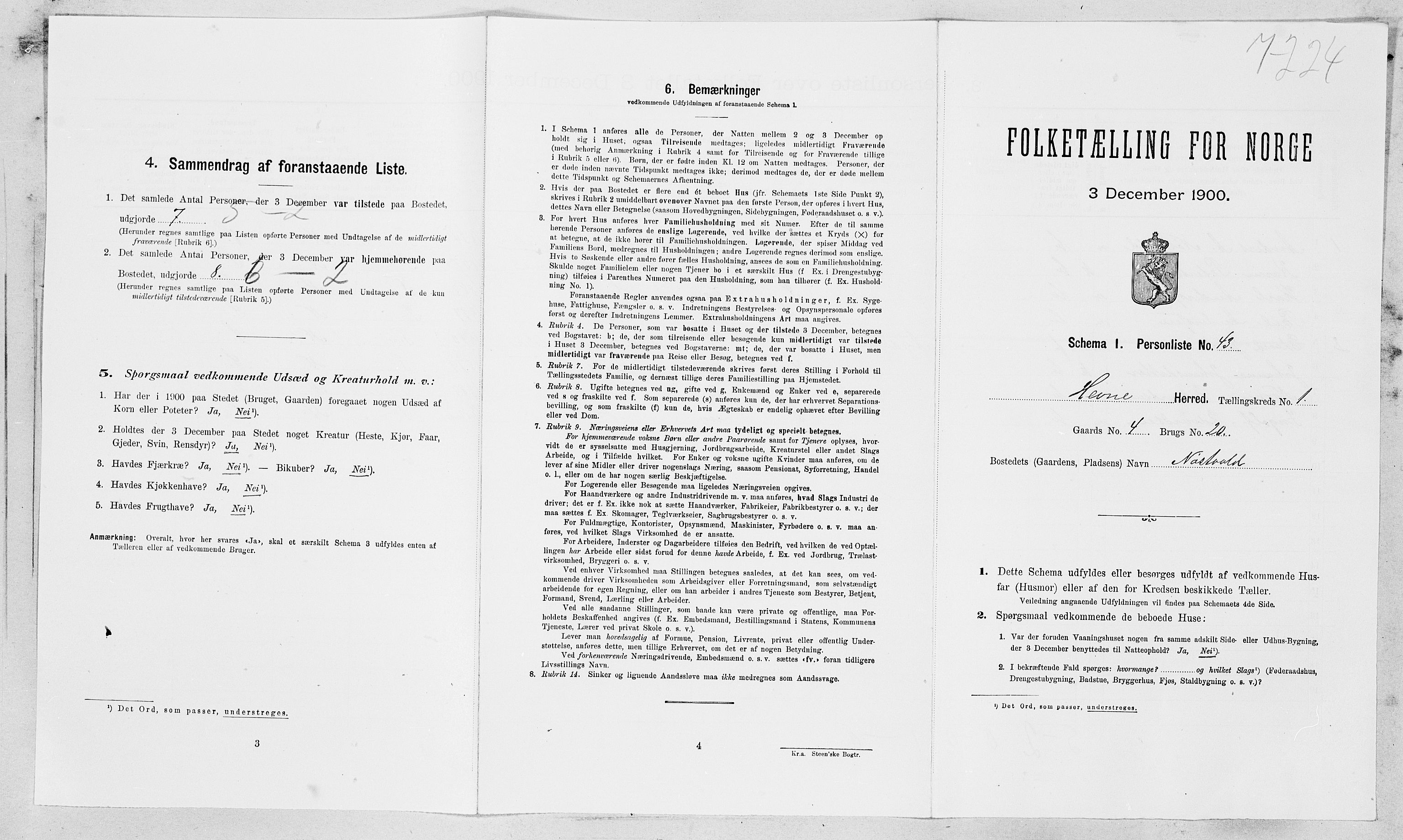 SAT, 1900 census for Hemne, 1900, p. 195