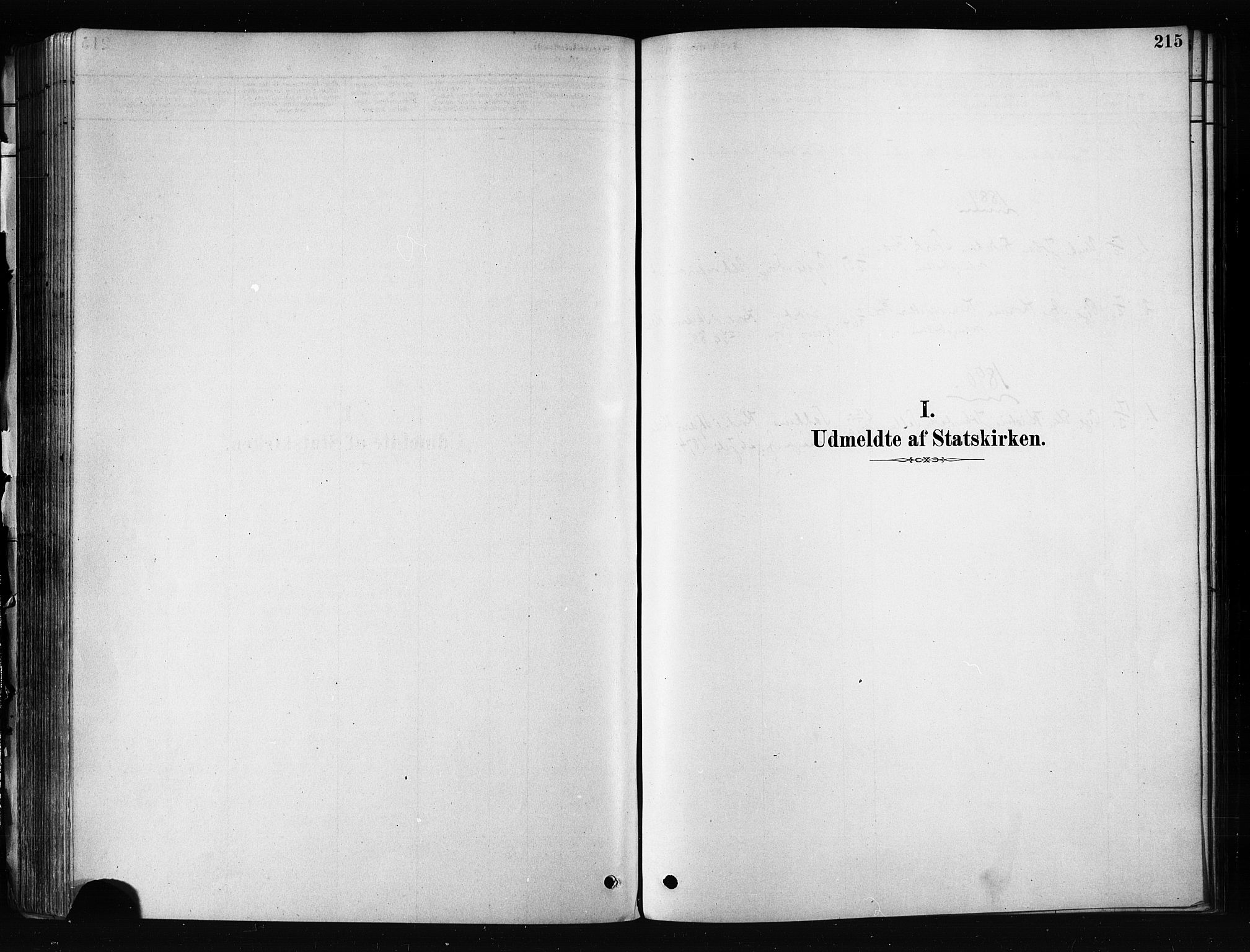 Skjervøy sokneprestkontor, SATØ/S-1300/H/Ha/Haa/L0012kirke: Parish register (official) no. 12, 1878-1891, p. 215