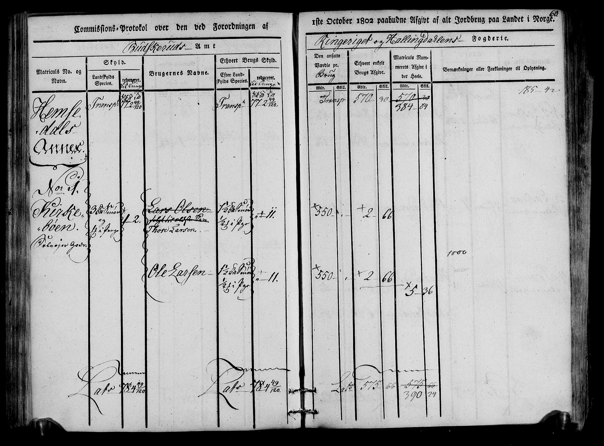 Rentekammeret inntil 1814, Realistisk ordnet avdeling, RA/EA-4070/N/Ne/Nea/L0047: Ringerike og Hallingdal fogderi. Kommisjonsprotokoll for Nes prestegjeld, 1803, p. 65