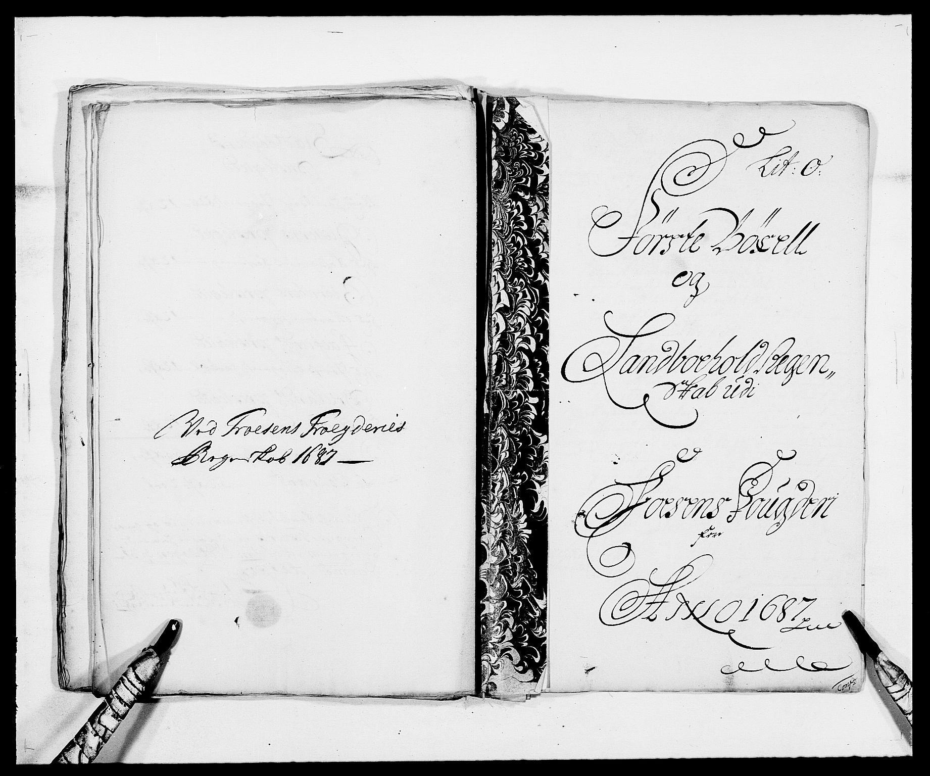 Rentekammeret inntil 1814, Reviderte regnskaper, Fogderegnskap, RA/EA-4092/R57/L3845: Fogderegnskap Fosen, 1687, p. 138