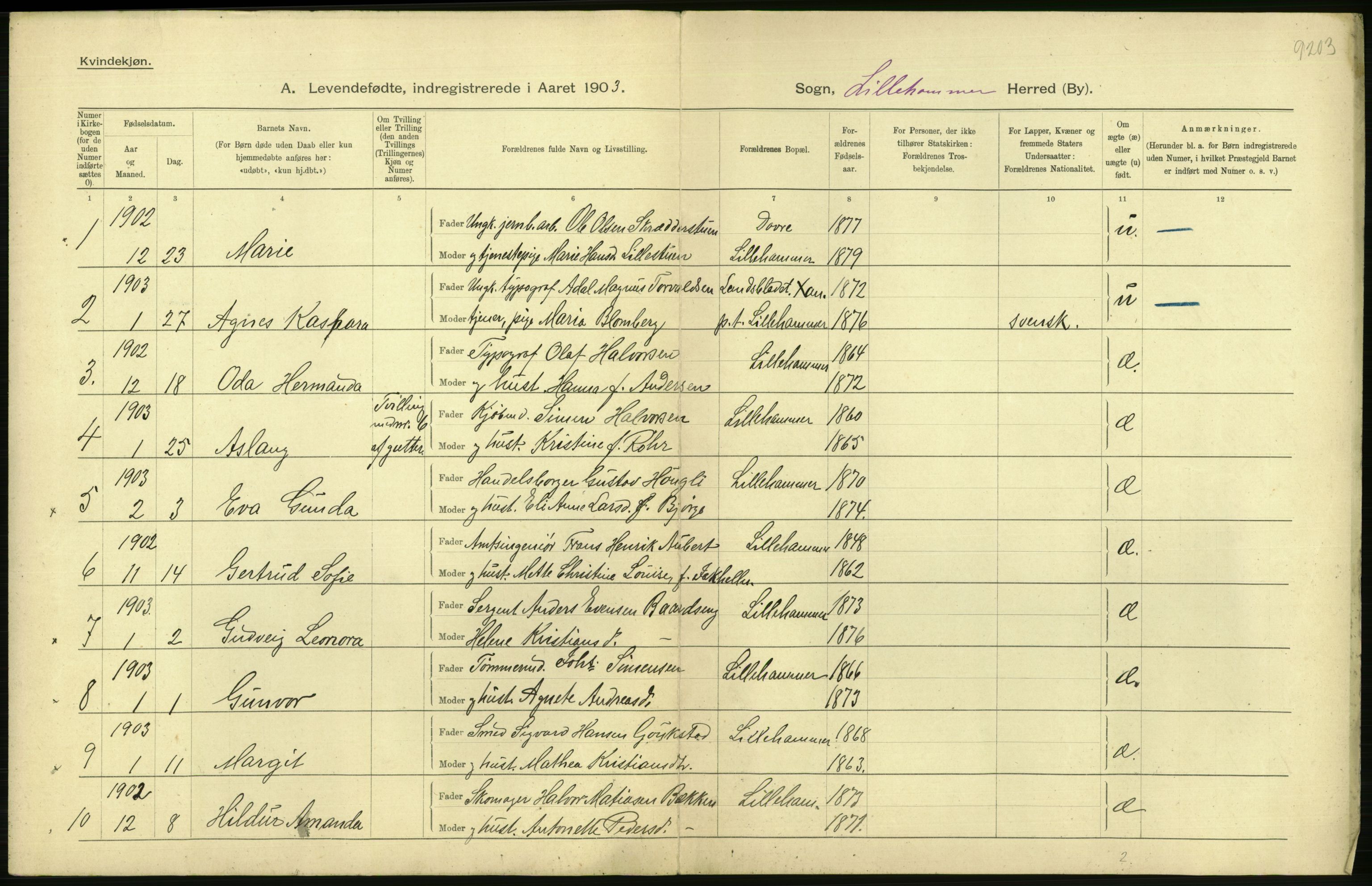 Statistisk sentralbyrå, Sosiodemografiske emner, Befolkning, AV/RA-S-2228/D/Df/Dfa/Dfaa/L0006: Kristians amt: Fødte, gifte, døde, 1903, p. 406