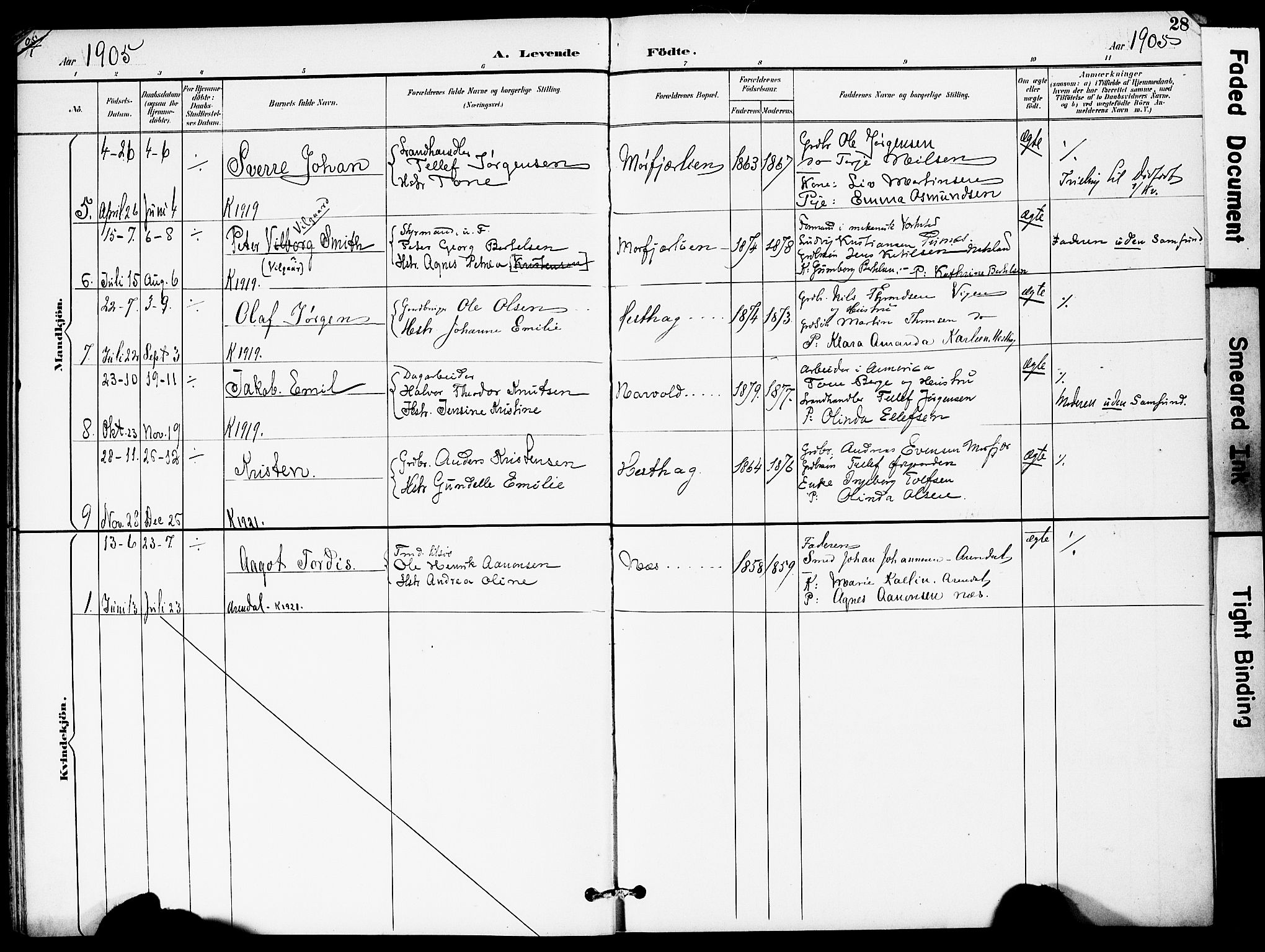 Austre Moland sokneprestkontor, AV/SAK-1111-0001/F/Fa/Fab/L0002: Parish register (official) no. A 2, 1894-1919, p. 28