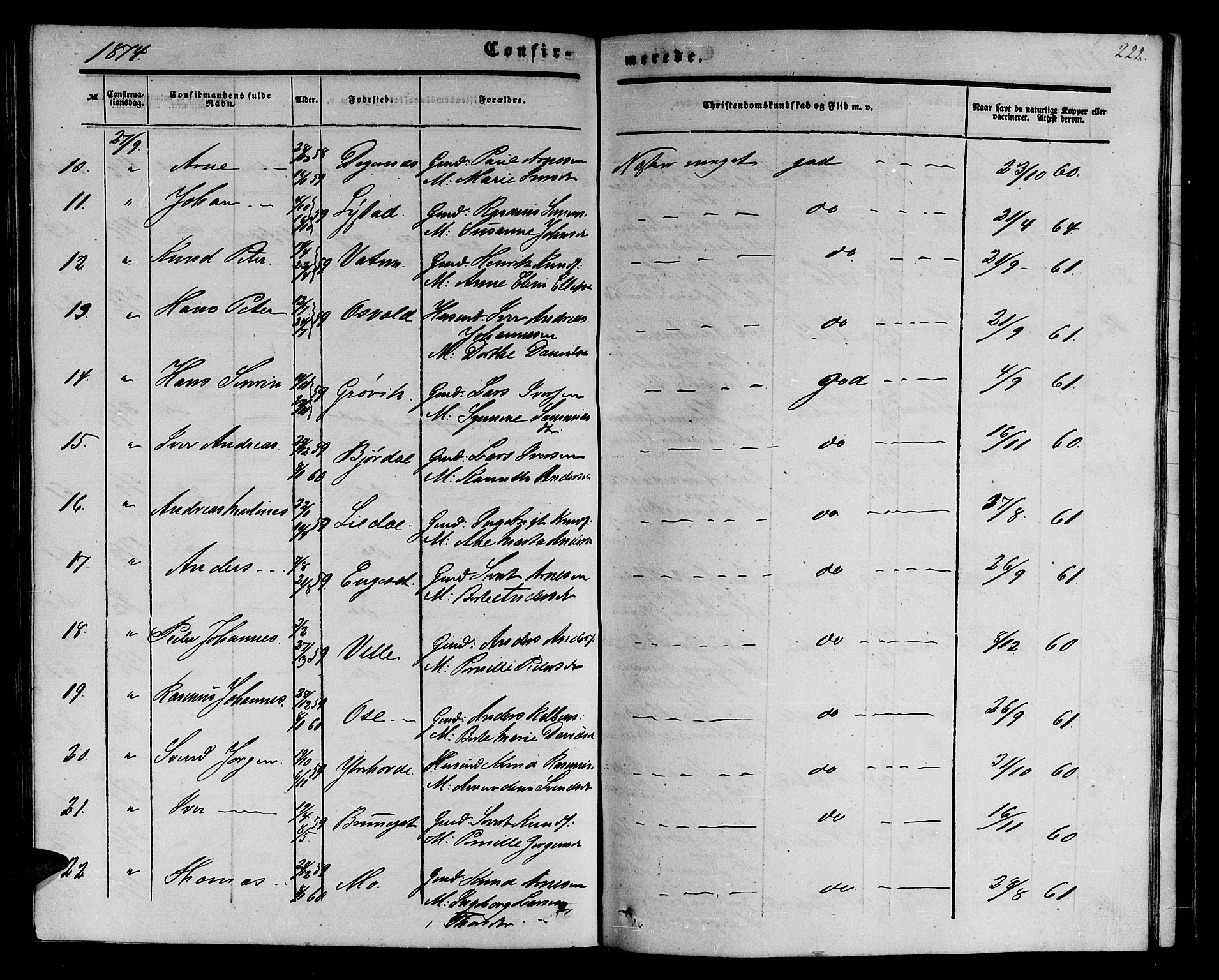 Ministerialprotokoller, klokkerbøker og fødselsregistre - Møre og Romsdal, AV/SAT-A-1454/513/L0188: Parish register (copy) no. 513C02, 1865-1882, p. 222