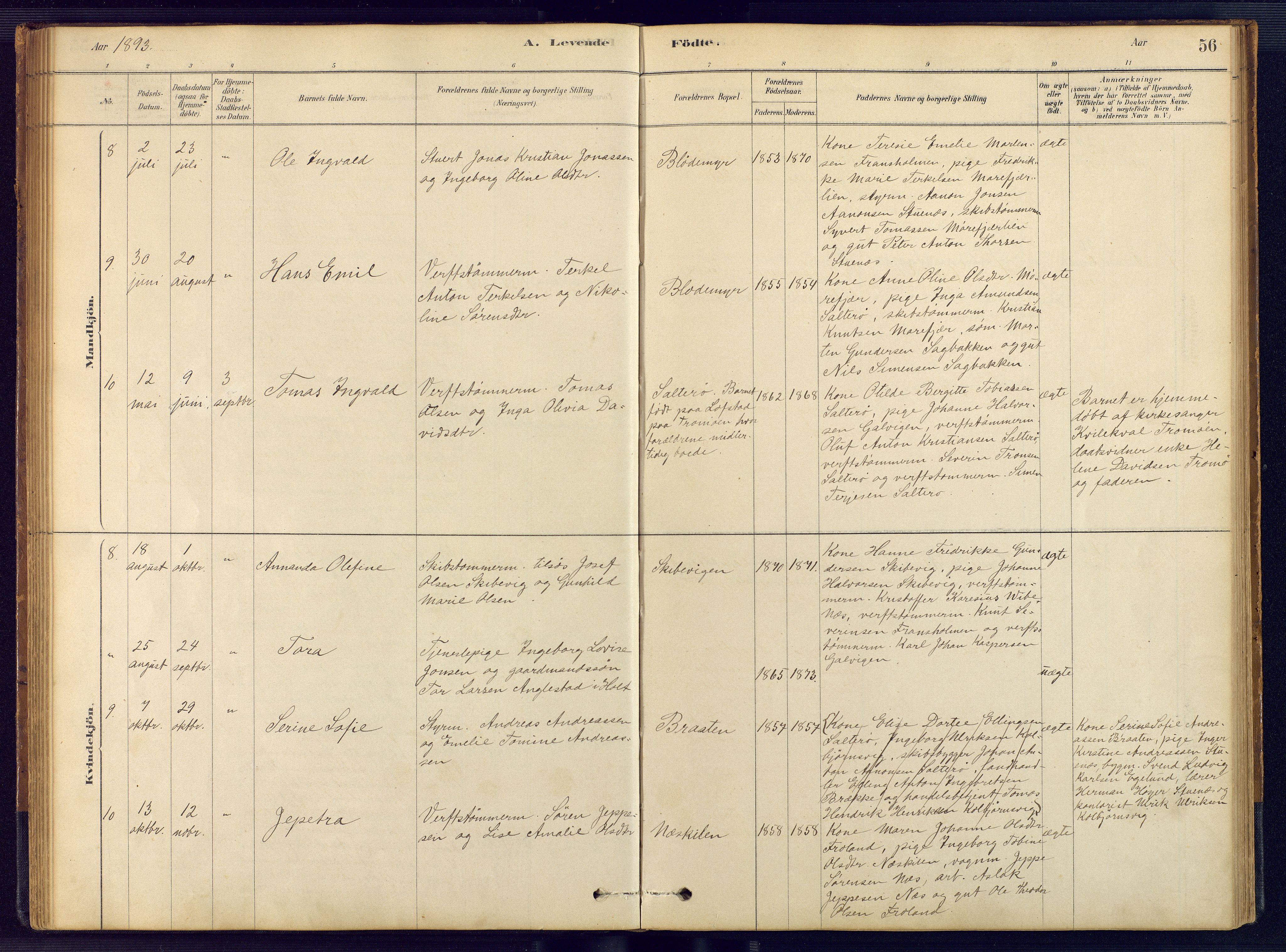 Austre Moland sokneprestkontor, AV/SAK-1111-0001/F/Fb/Fbb/L0001: Parish register (copy) no. B 1, 1878-1904, p. 56