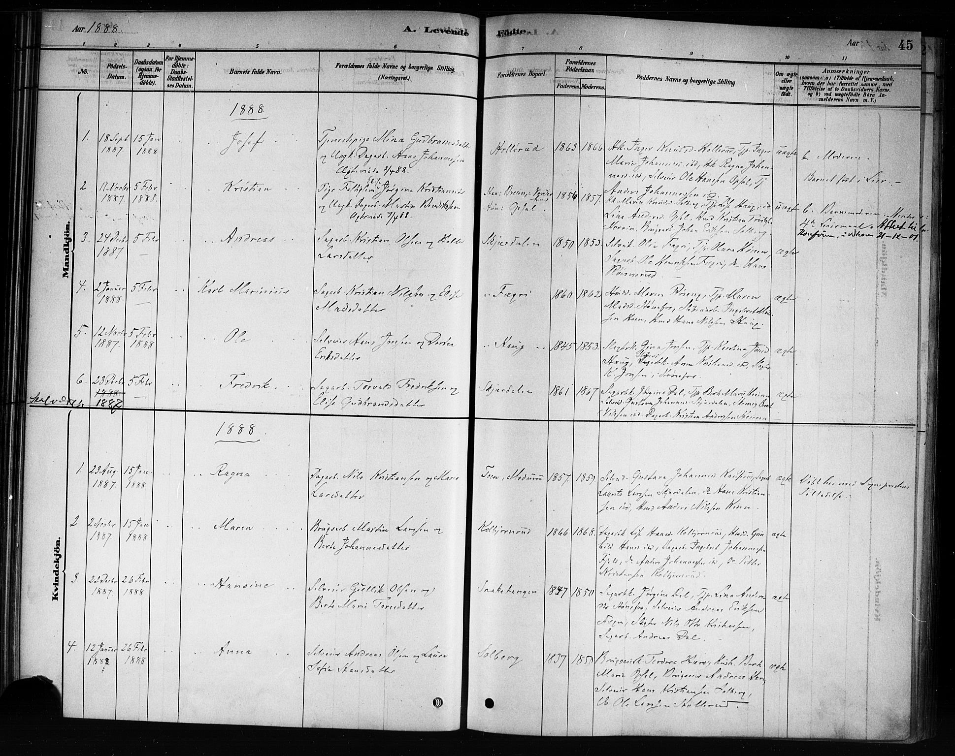 Hole kirkebøker, AV/SAKO-A-228/F/Fb/L0001: Parish register (official) no. II 1, 1878-1891, p. 45