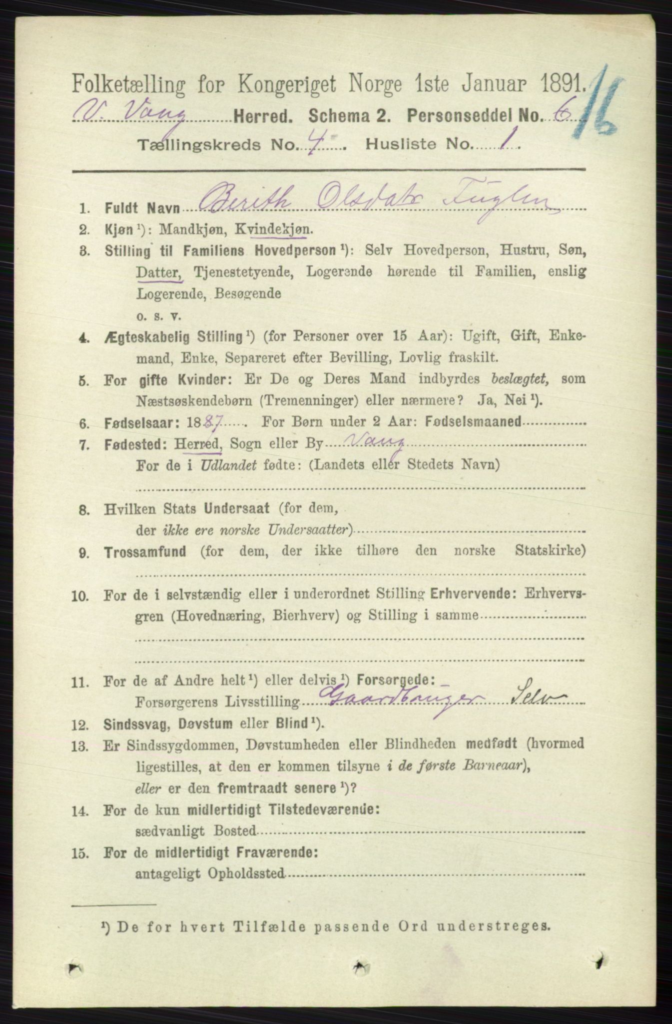 RA, 1891 census for 0545 Vang, 1891, p. 899