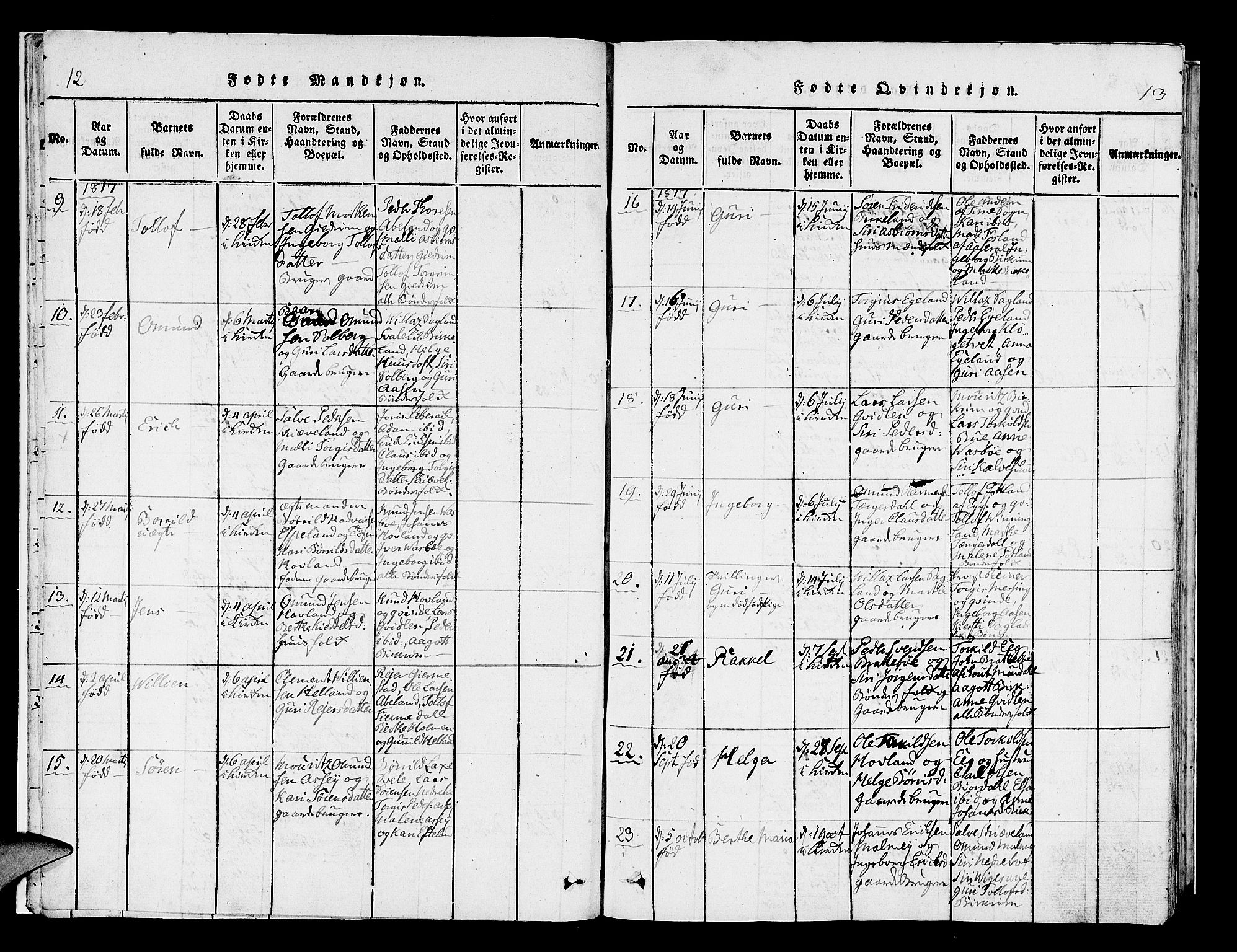 Helleland sokneprestkontor, SAST/A-101810: Parish register (official) no. A 5, 1815-1834, p. 12-13